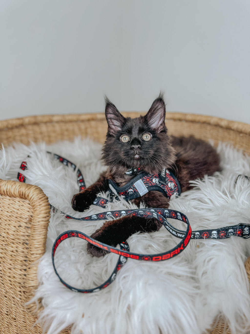 Cat Leash - STAR WARS™ The Dark Side