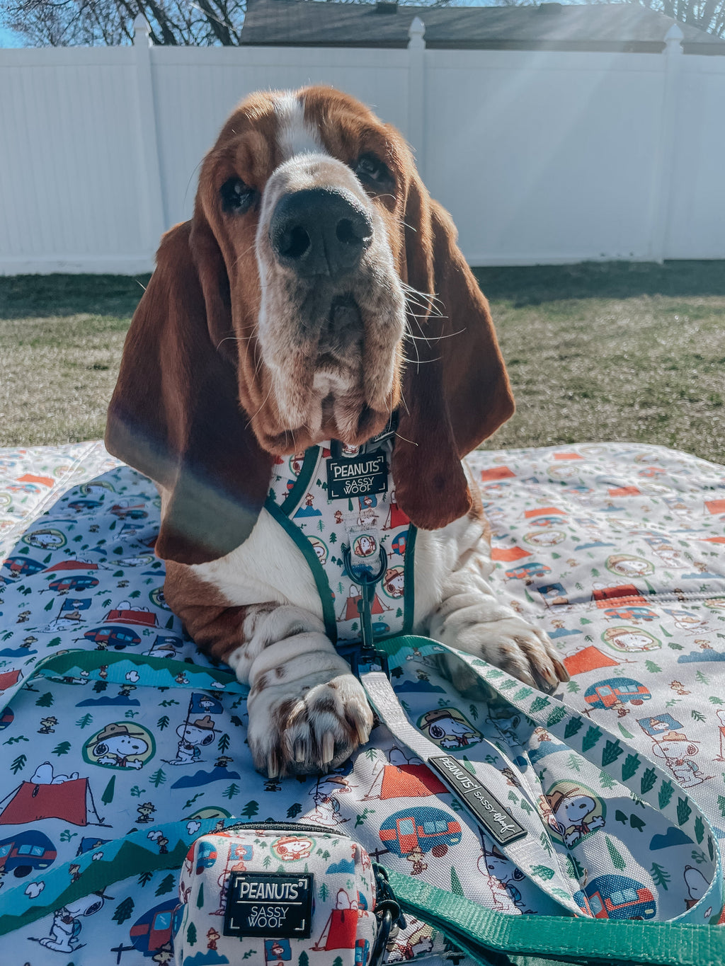 Dog Step-in Harness - Peanuts™ Beagle Scouts