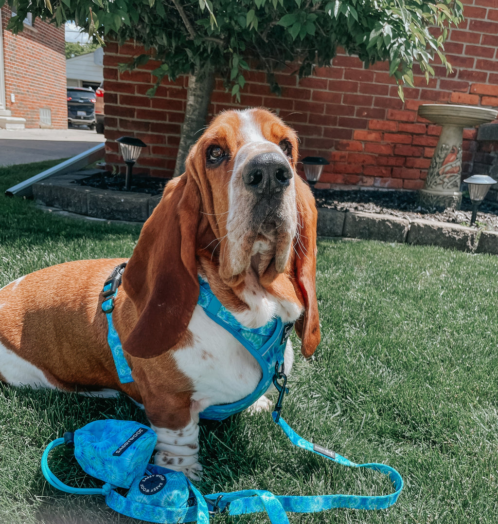 Dog Step-in Harness - Tropical Tides