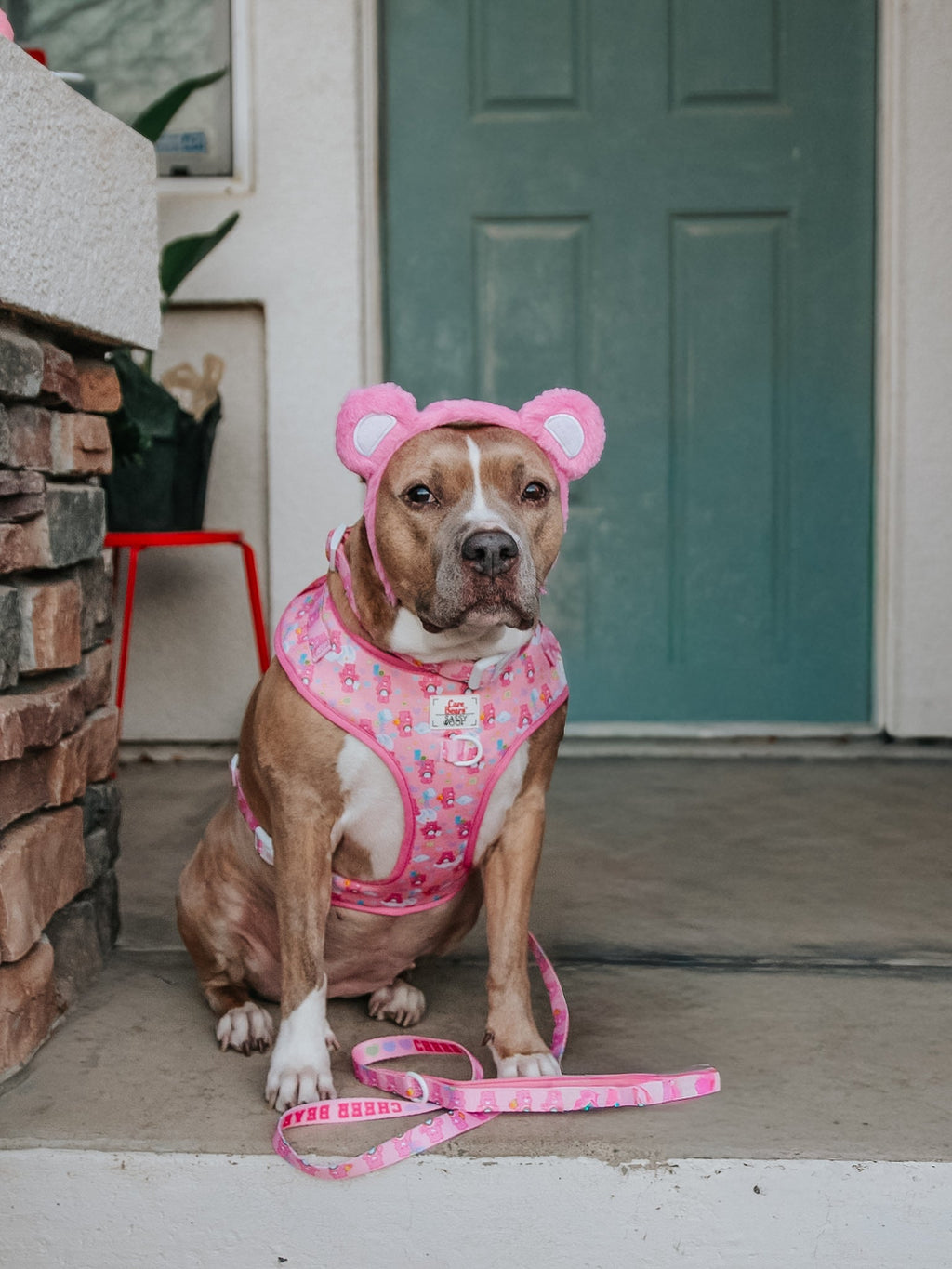 Dog Leash - Care Bears™ Cheer Bear