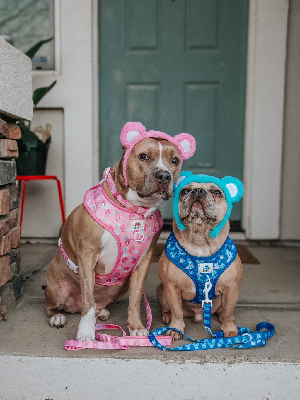 Dog Leash - Care Bears™ Grumpy Bear