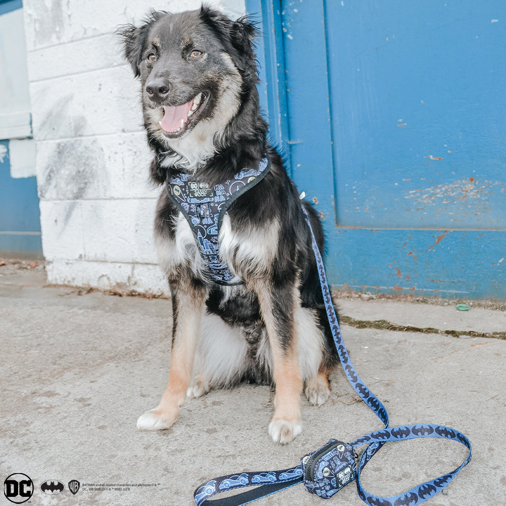 Dog Leash - Batman™