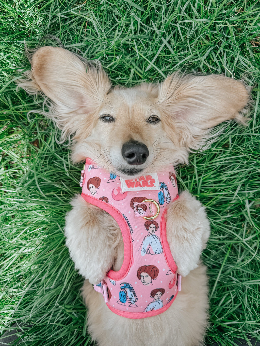 Dog Adjustable Harness - STAR WARS™ Princess Leia