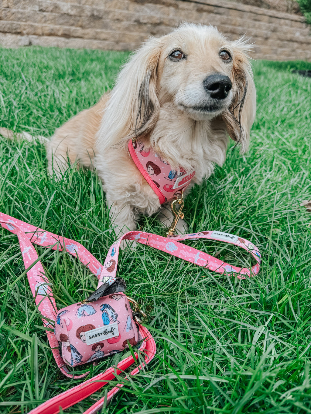 Dog Leash - STAR WARS™ Princess Leia