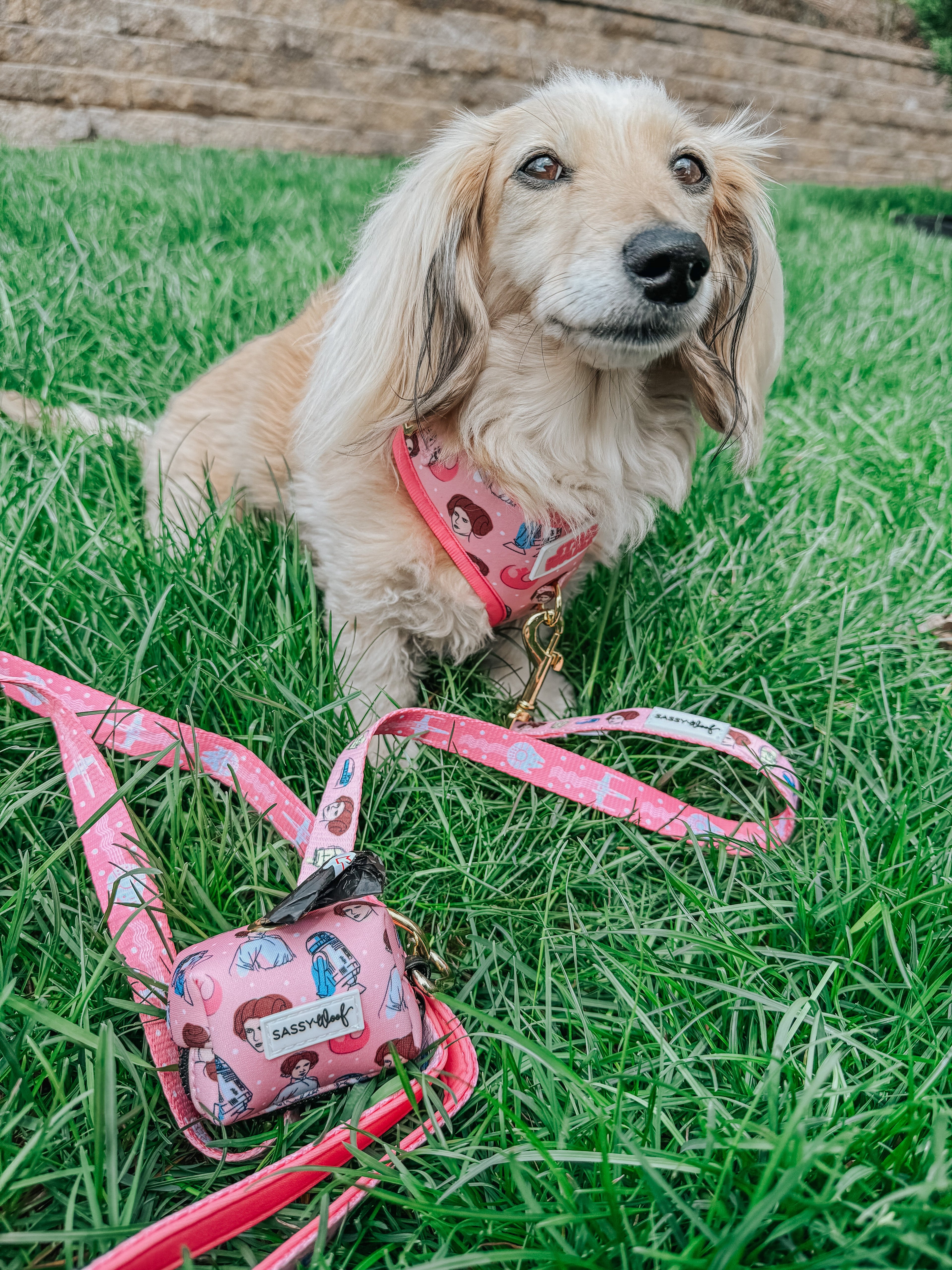 Dog Leash - STAR WARS™ Princess Leia