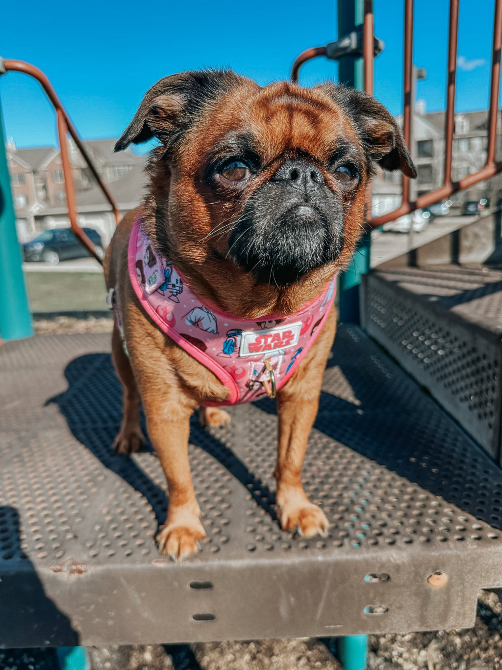 Dog Adjustable Harness - STAR WARS™ Princess Leia