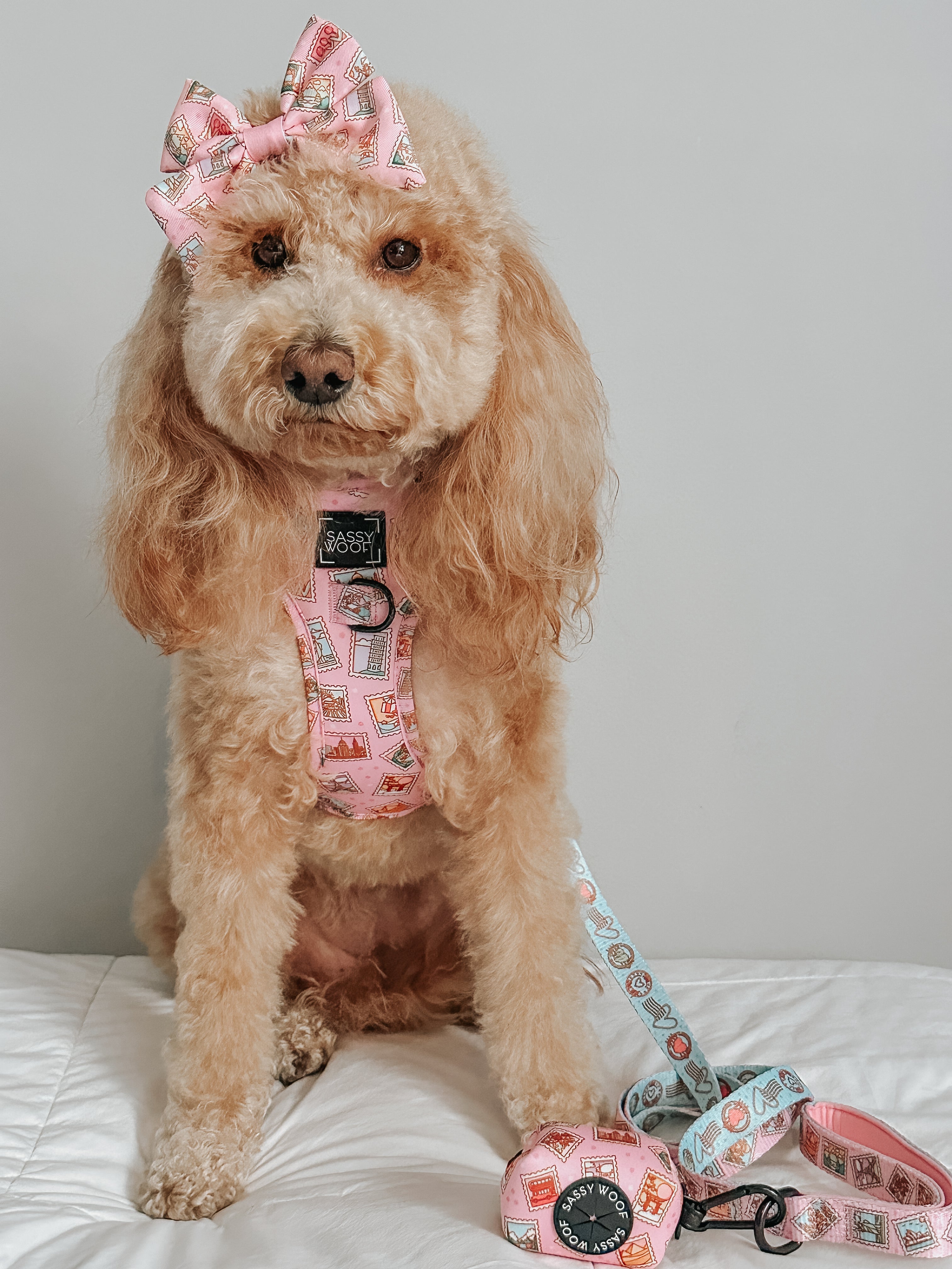 Dog Leash - Out of Office