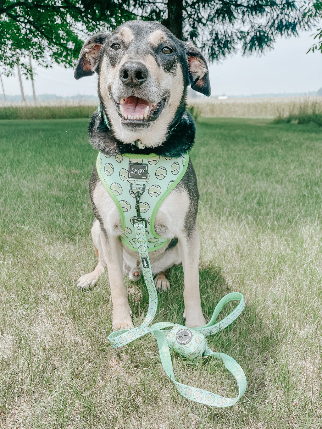 Dog Reversible Harness - Serving Up Sass