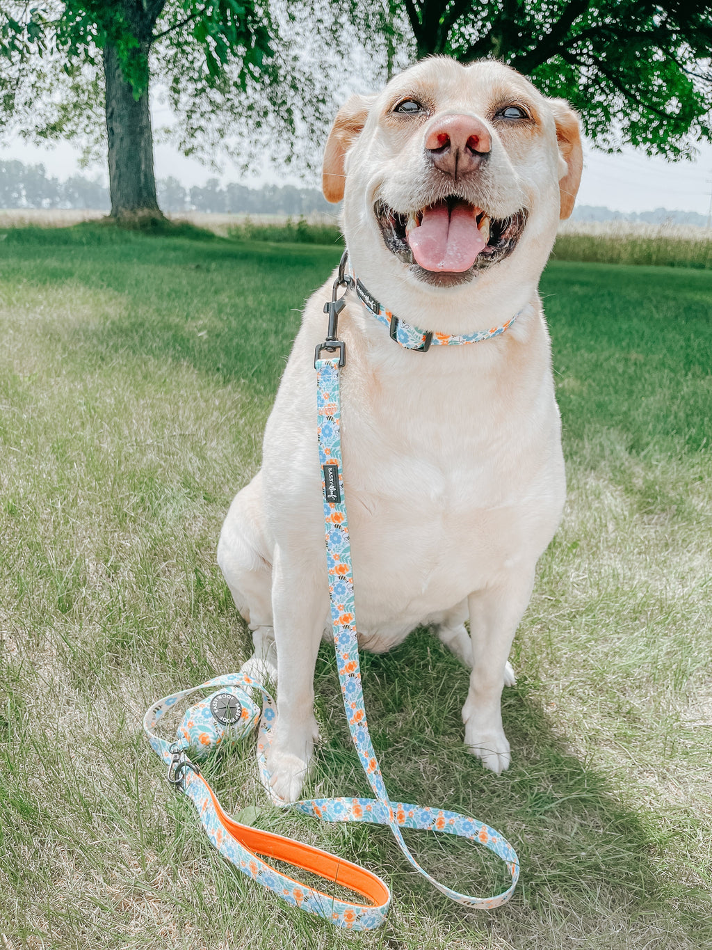 Dog Leash - Must Be the Honey