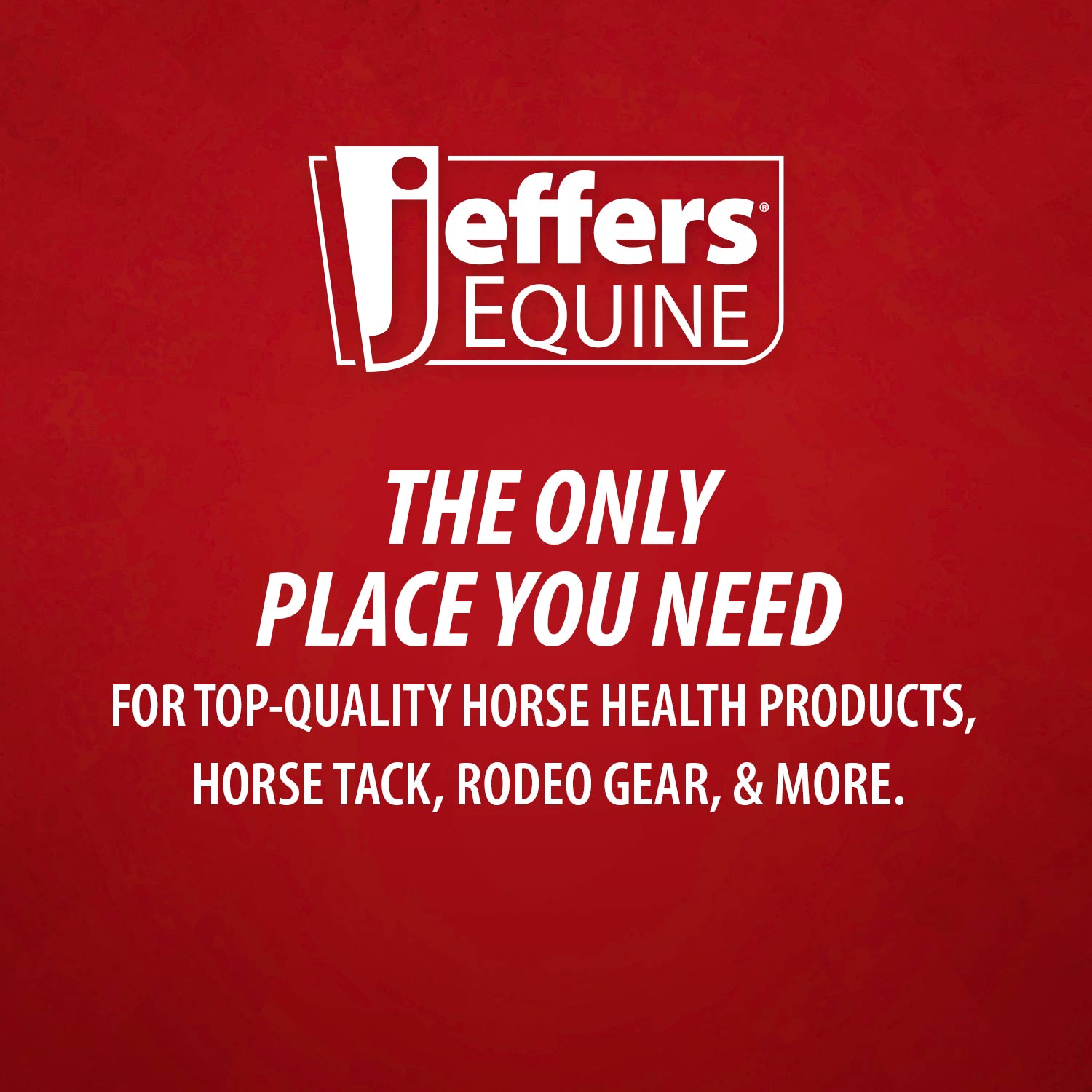 Jeffers Equine Kalaya Emu Oil Ultra Moisturizing Horse Shampoo