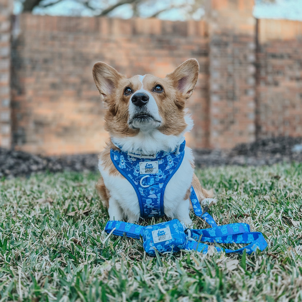 Dog Adjustable Harness - Care Bears™ Grumpy Bear