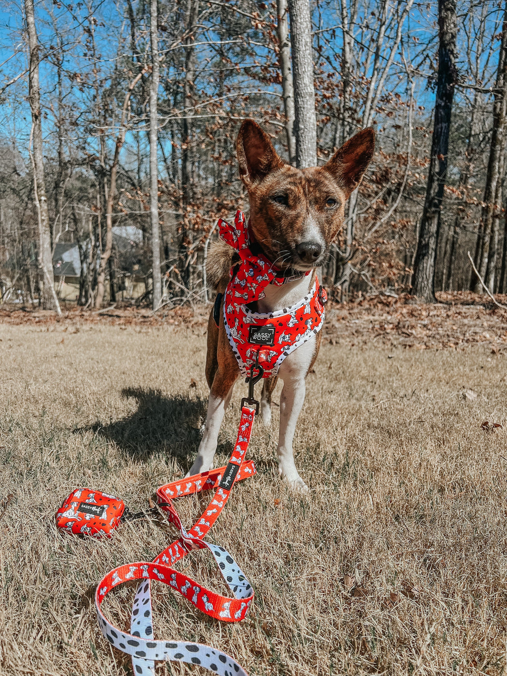 Dog Collar - Disney's 101 Dalmatians
