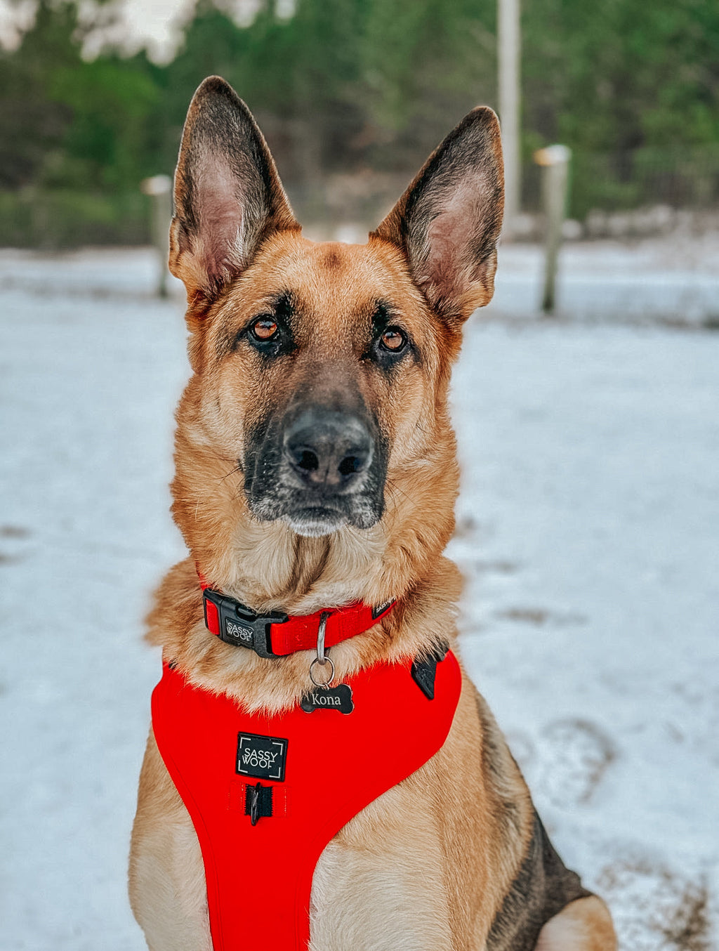 Dog Adjustable Harness - Neon Red
