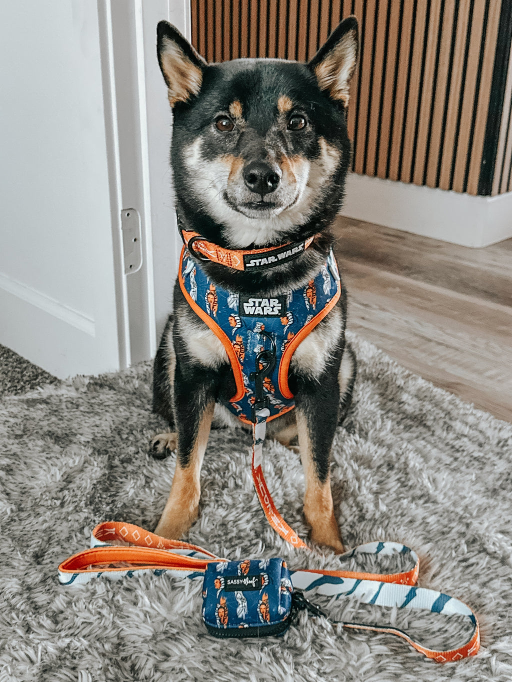 Dog Adjustable Harness - STAR WARS™ Ahsoka