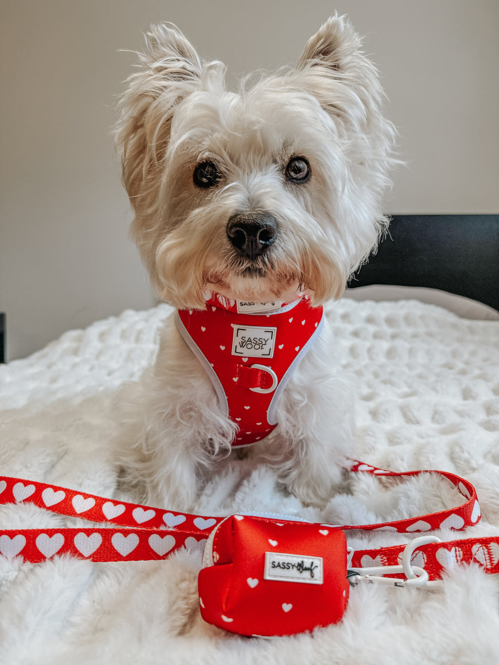 Dog Adjustable Harness - Little Love