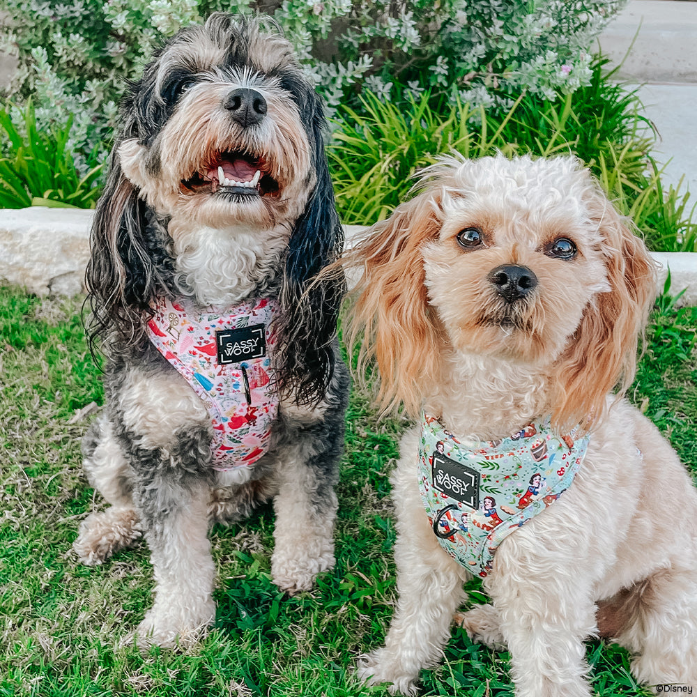 Dog Adjustable Harness - Disney's Aurora