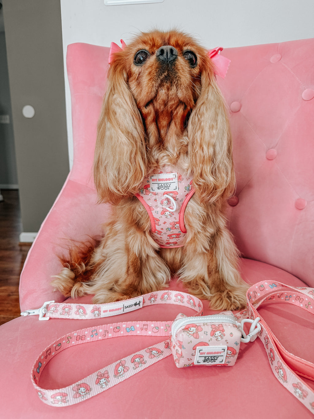Dog Leash - My Melody™