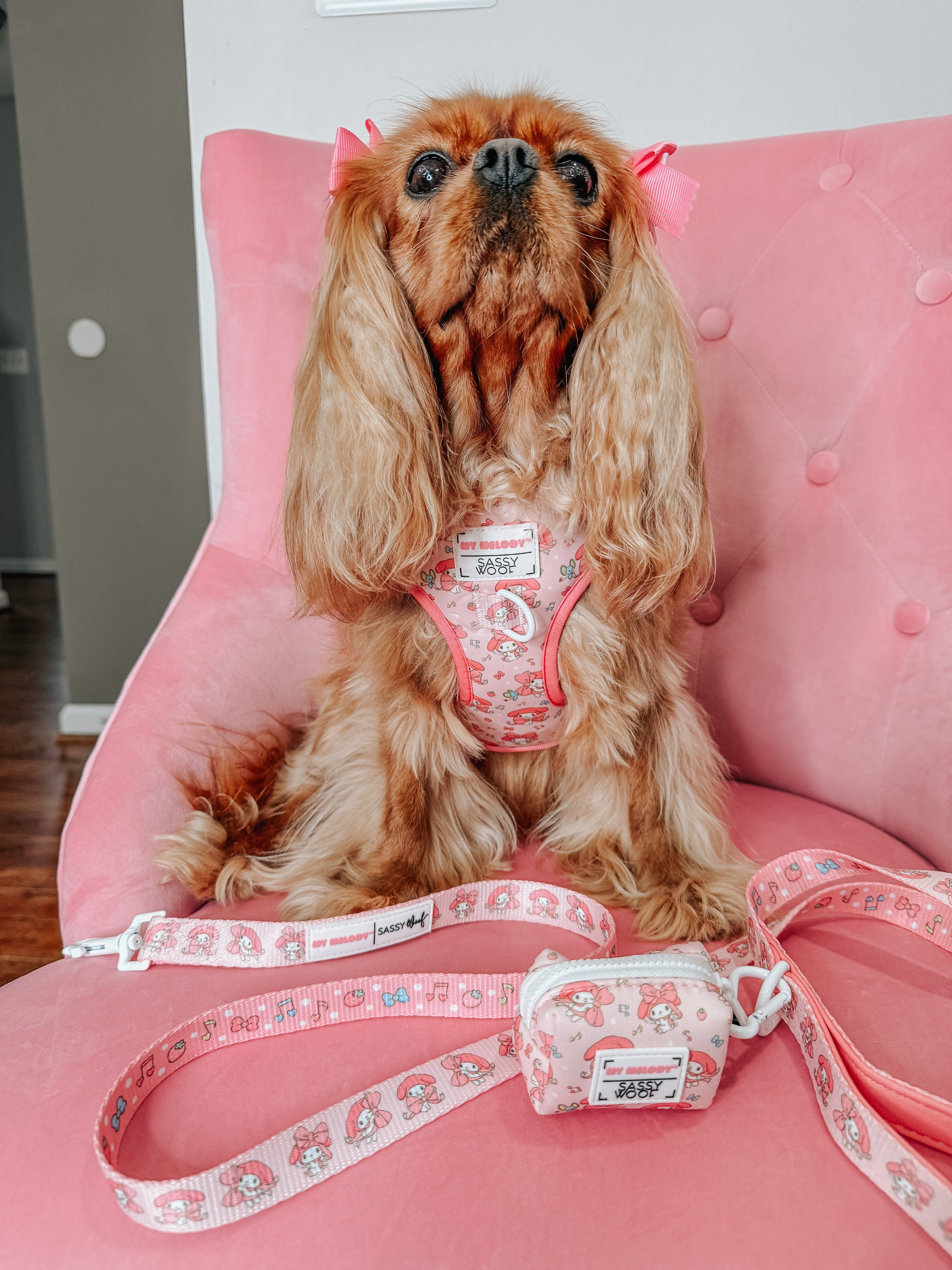 Dog Adjustable Harness - My Melody™