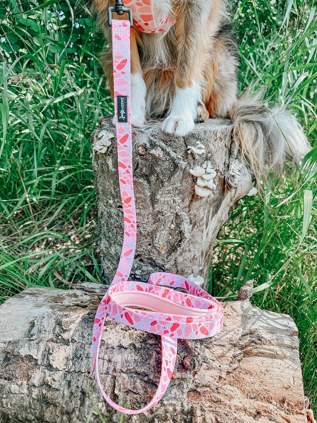 Dog Leash - Mykonos