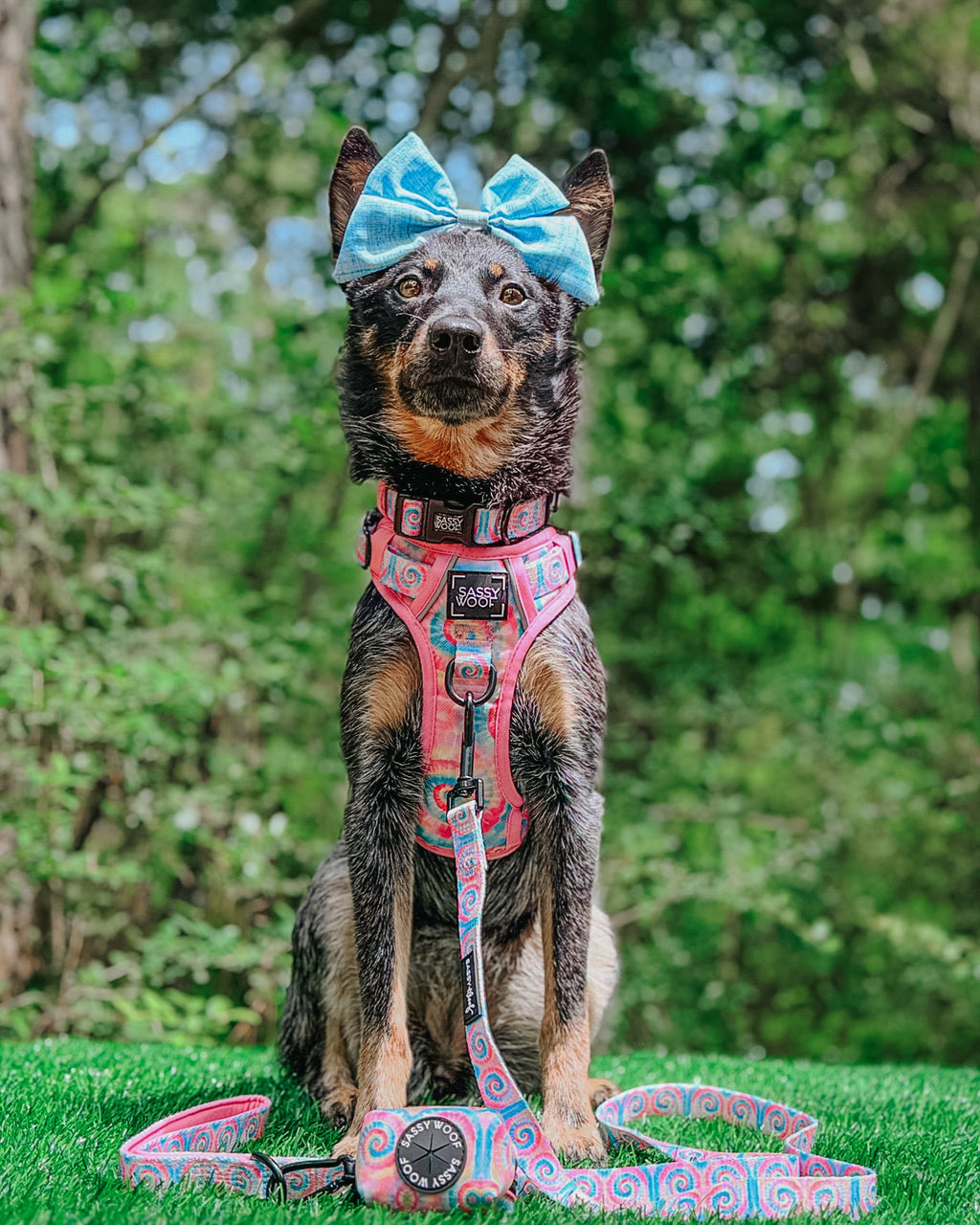Dog Leash - Good Vibes