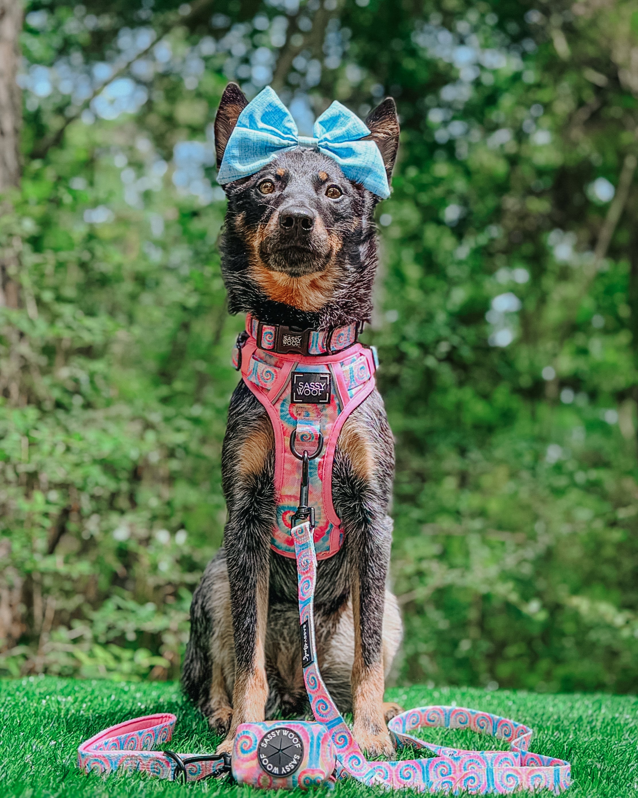 Dog Leash - Good Vibes