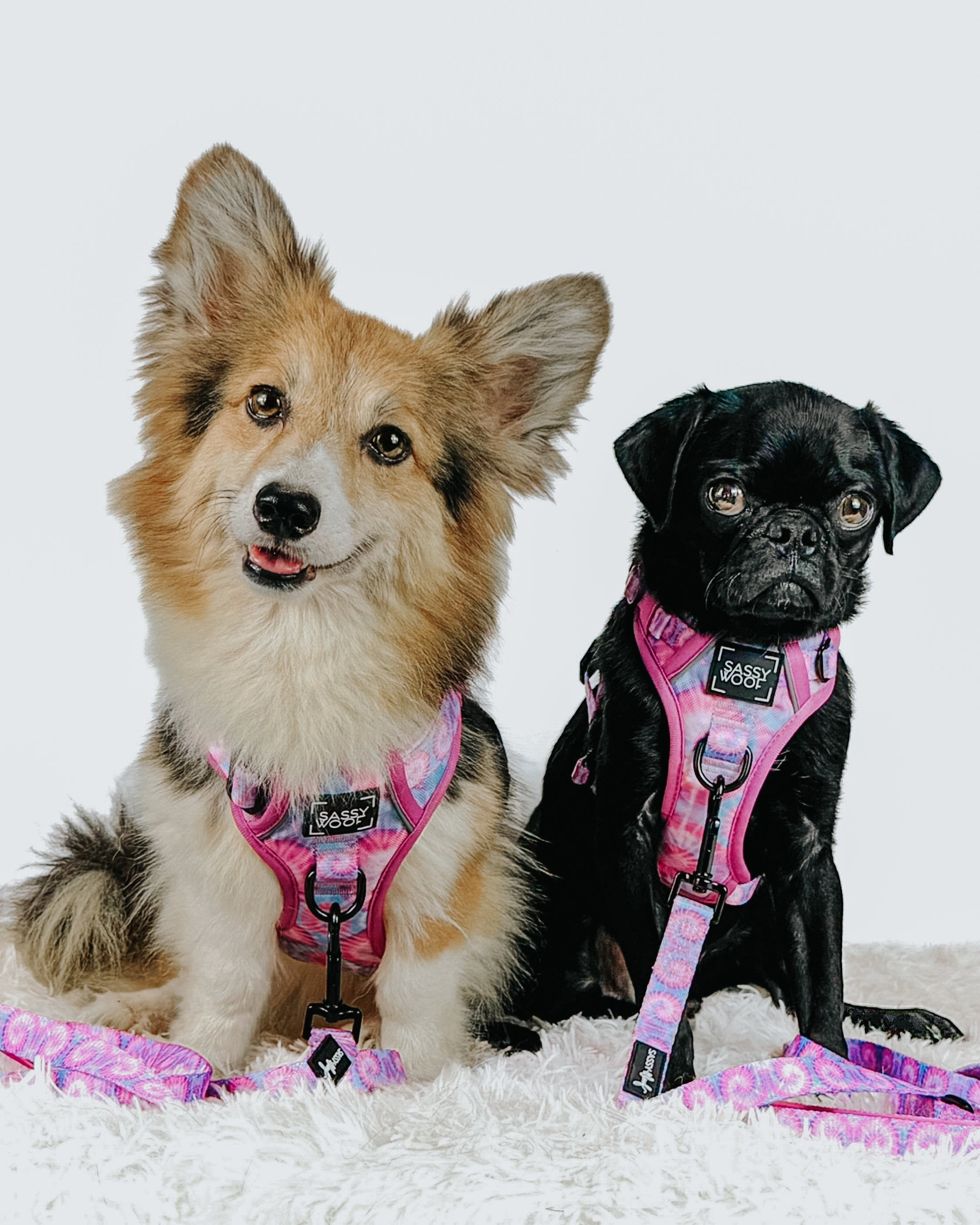 Dog Step-in Harness - Purple Haze