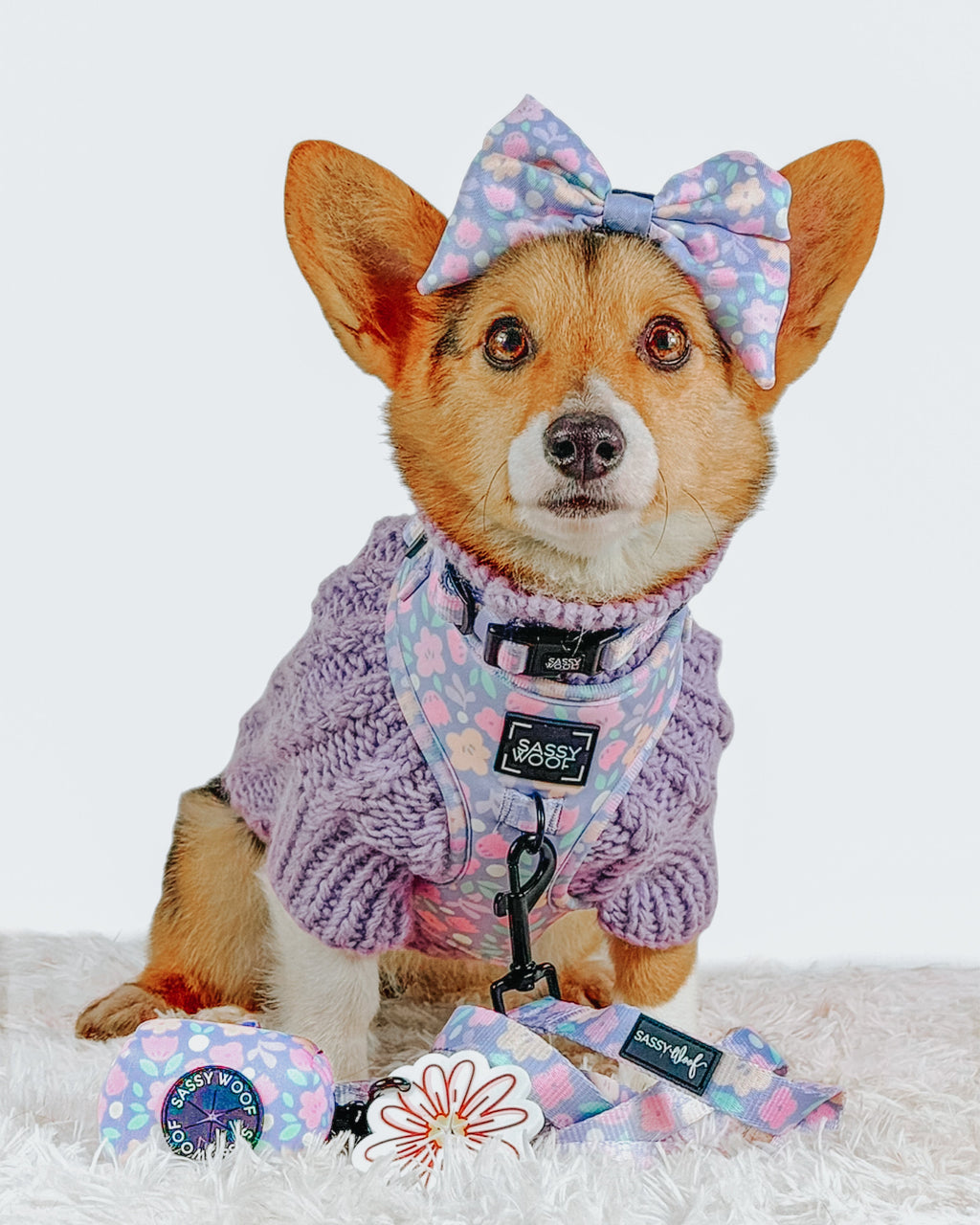 Dog Collar - Fleur de Sass