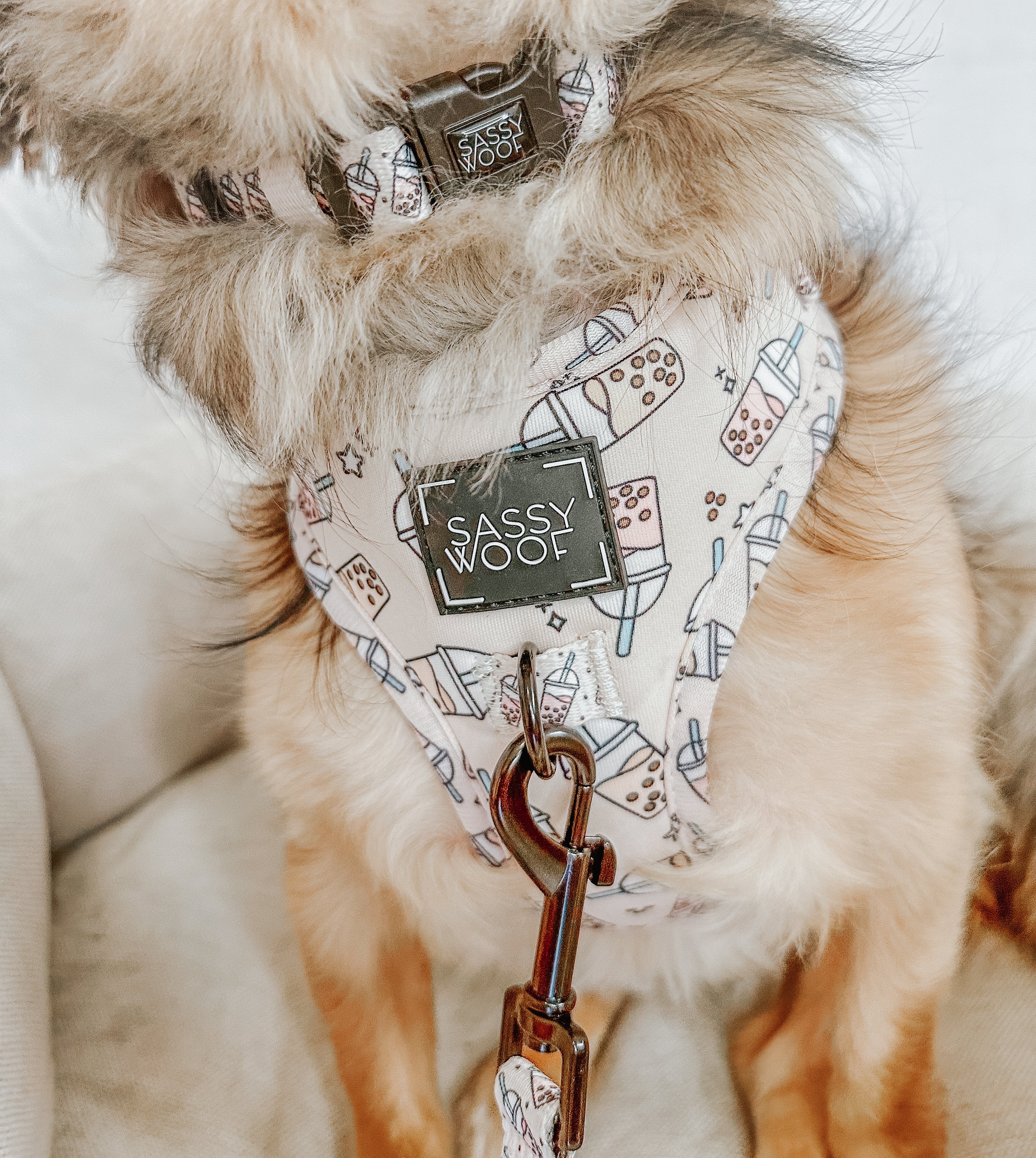 Dog Collar - Spill the Tea