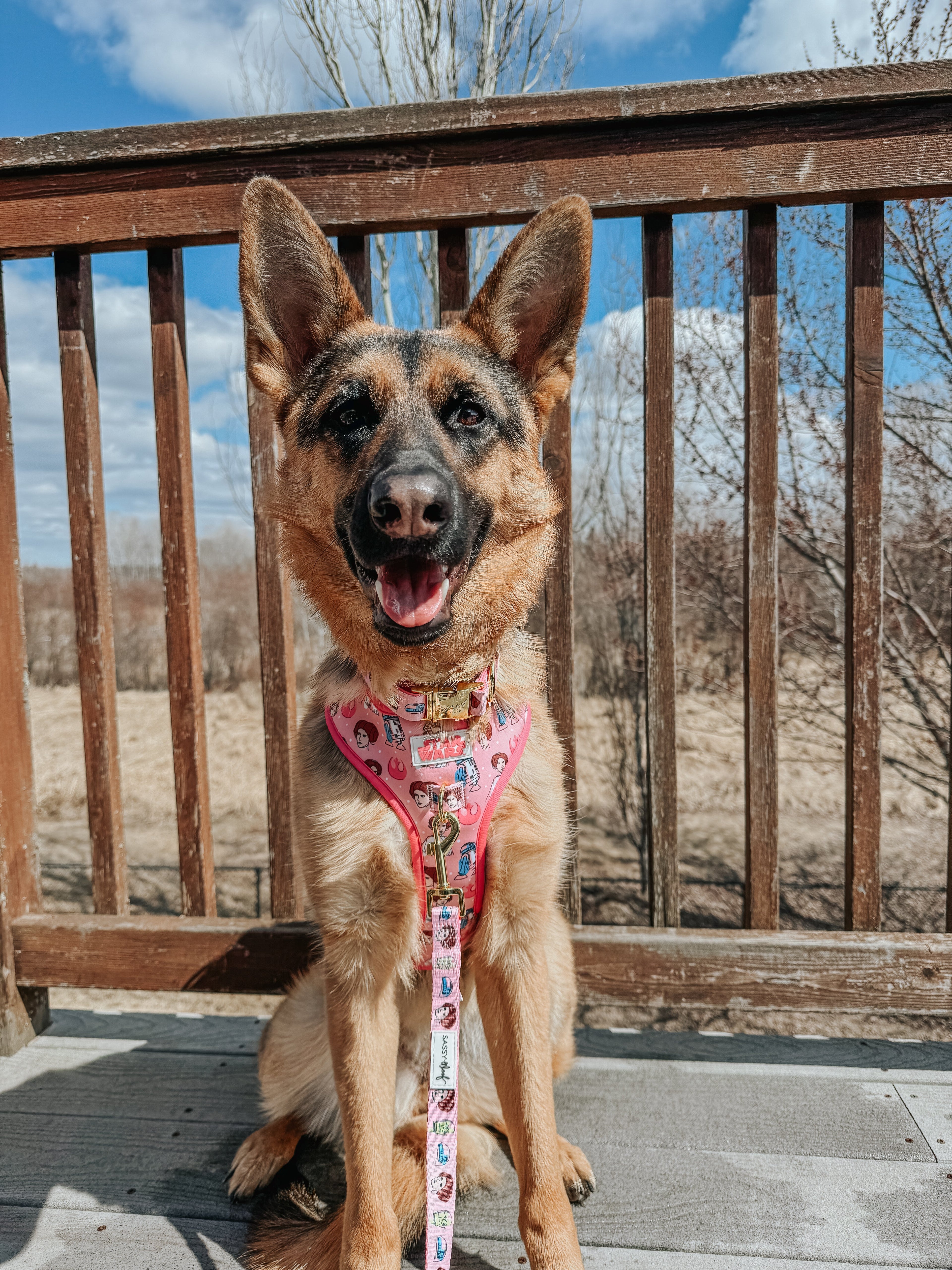Dog Adjustable Harness - STAR WARS™ Princess Leia