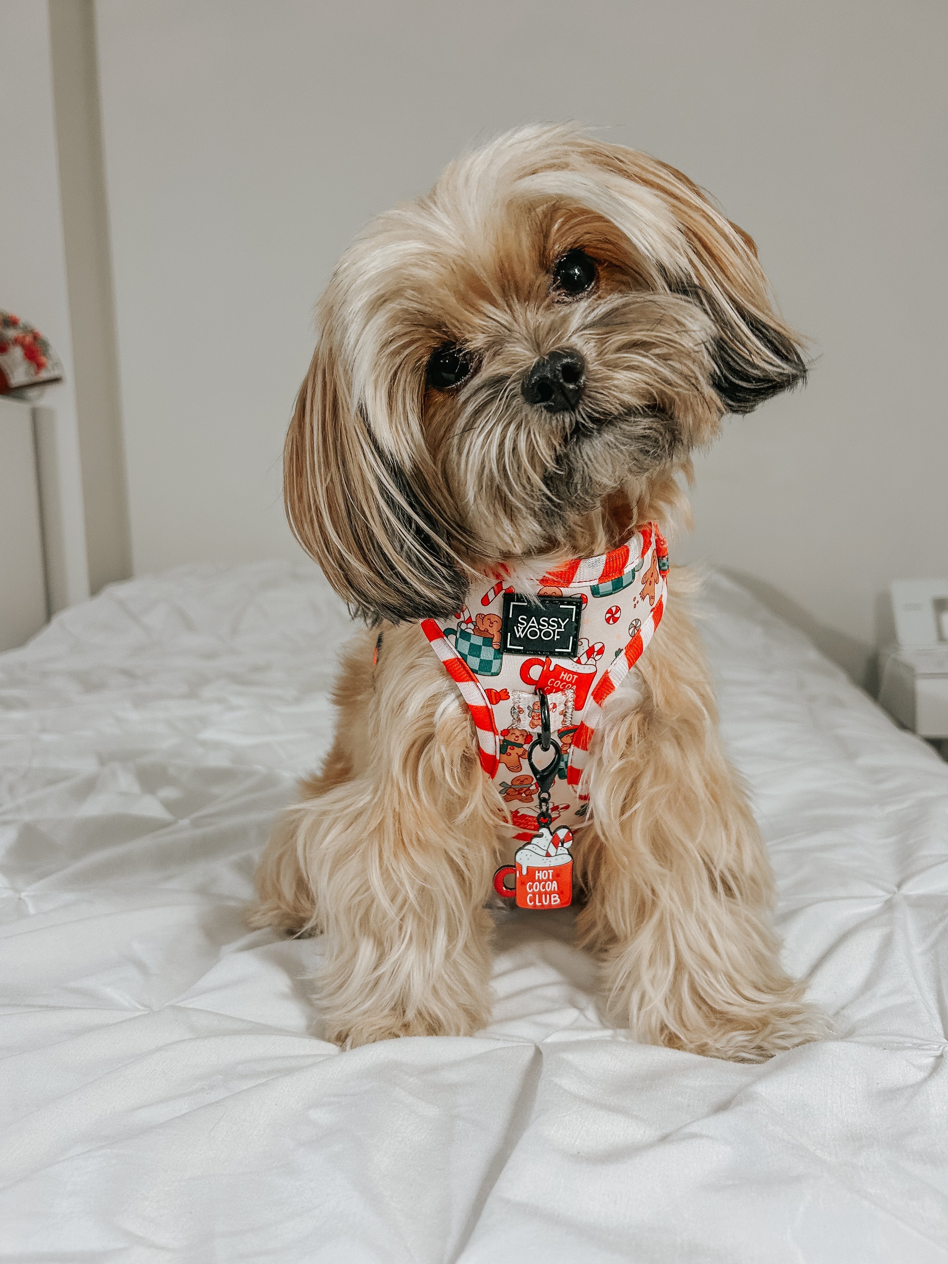 Dog Adjustable Harness - Hot Cocoa Club