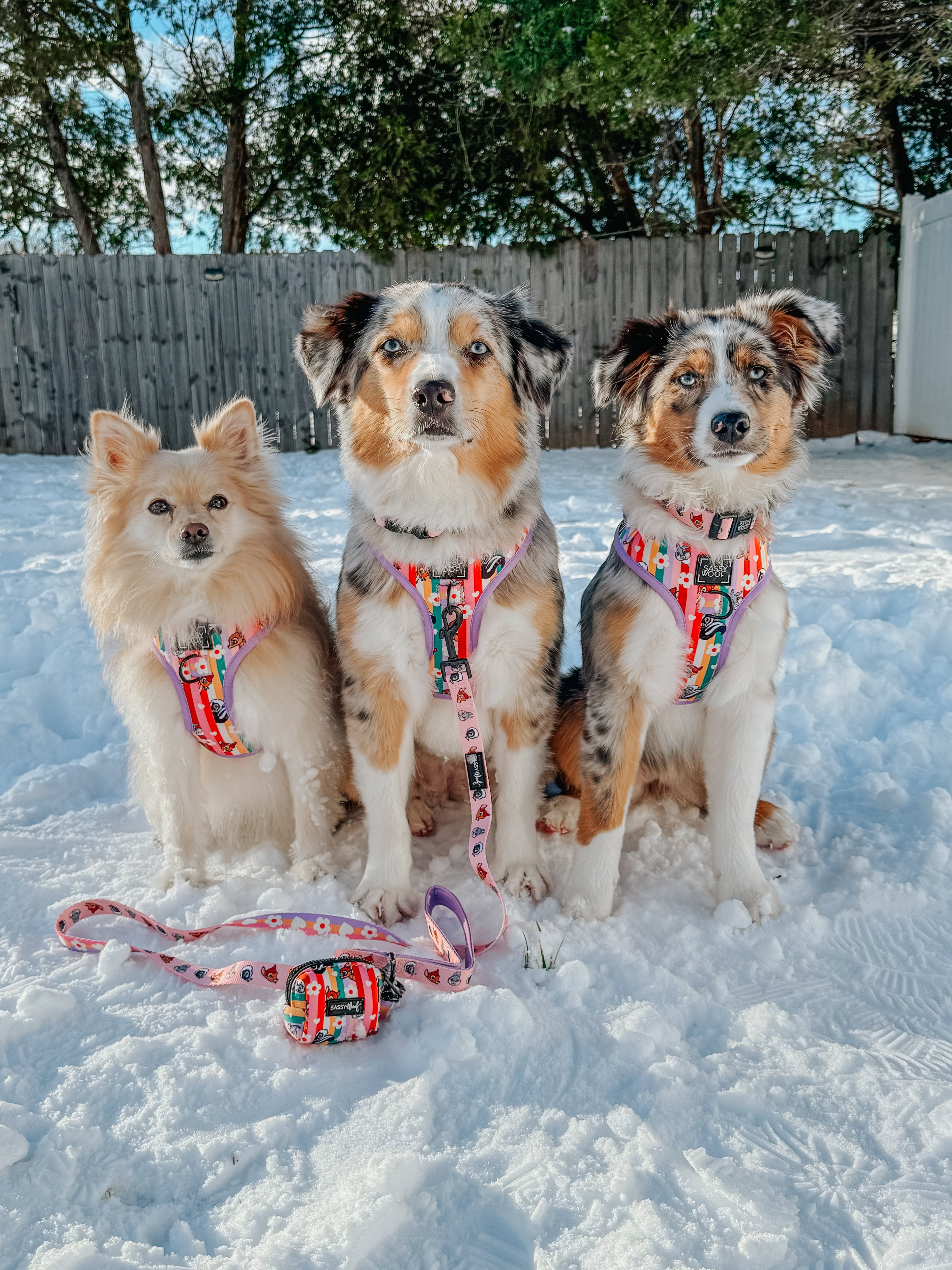 Dog Adjustable Harness - Disney's Bambi