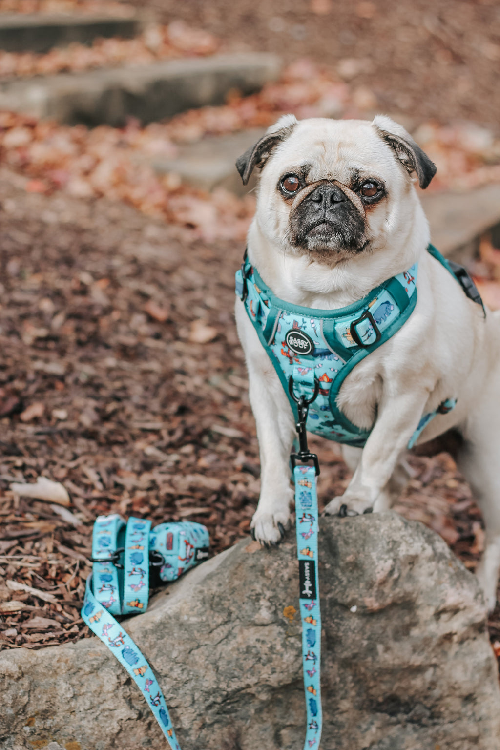 Dog Leash - Disney's Winnie the Pooh
