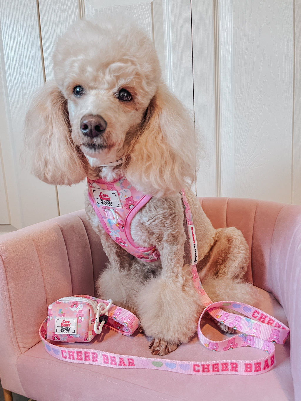 Dog Adjustable Harness - Care Bears™ Cheer Bear