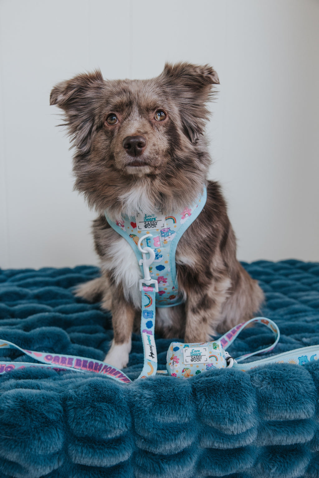 Dog Leash - Care Bears™ Care-a-Lot