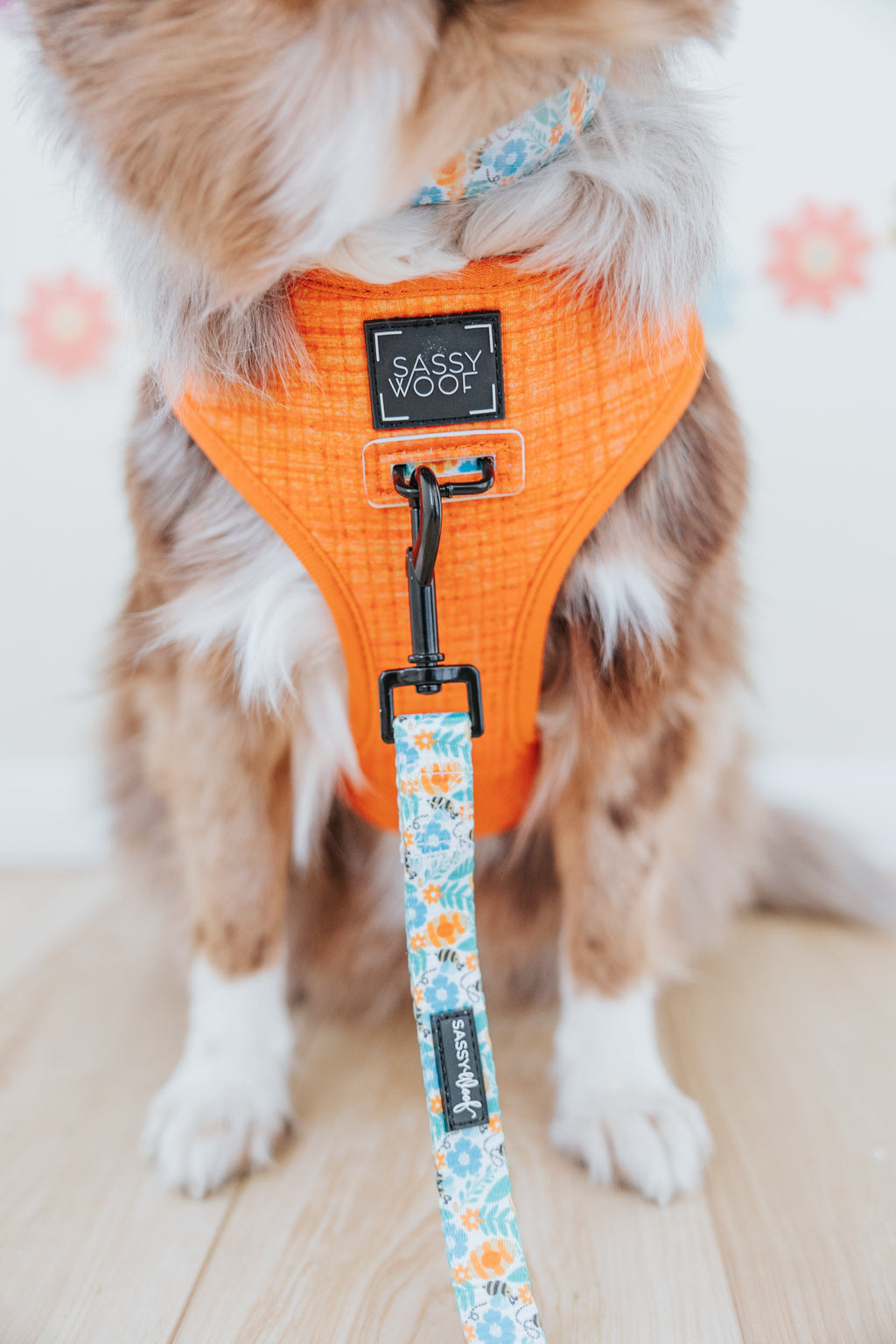 Dog Leash - Must Be the Honey