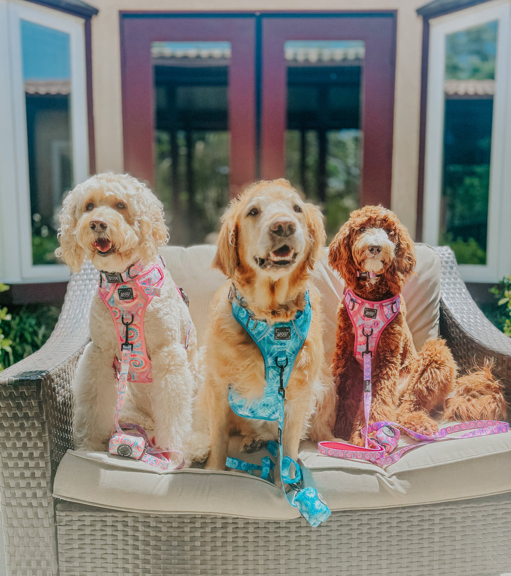 Dog Step-in Harness - Tropical Tides