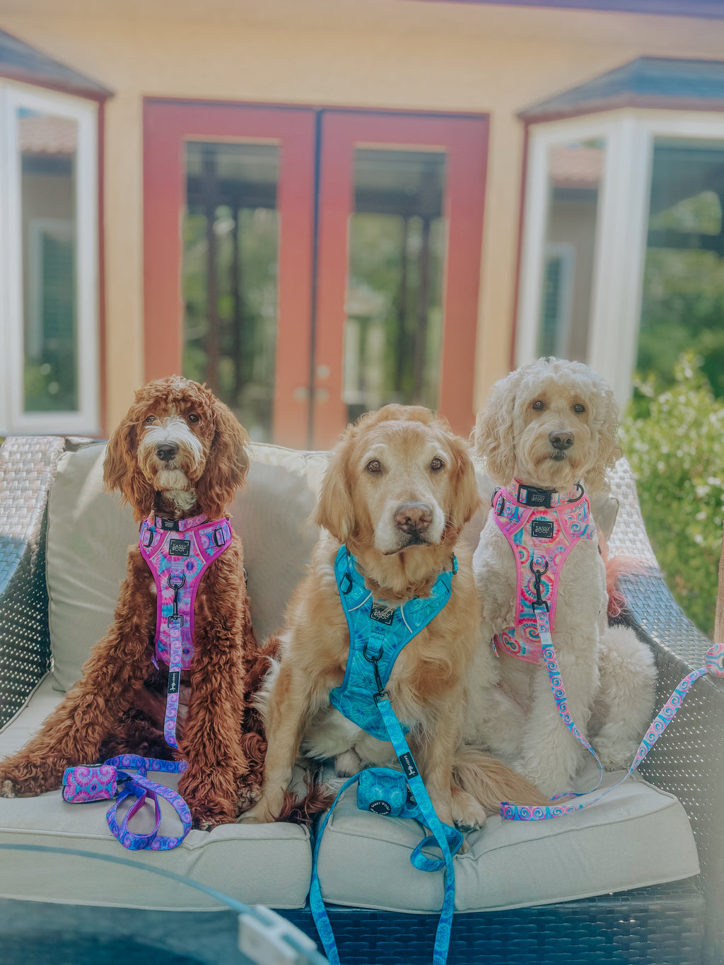 Dog Step-in Harness - Purple Haze
