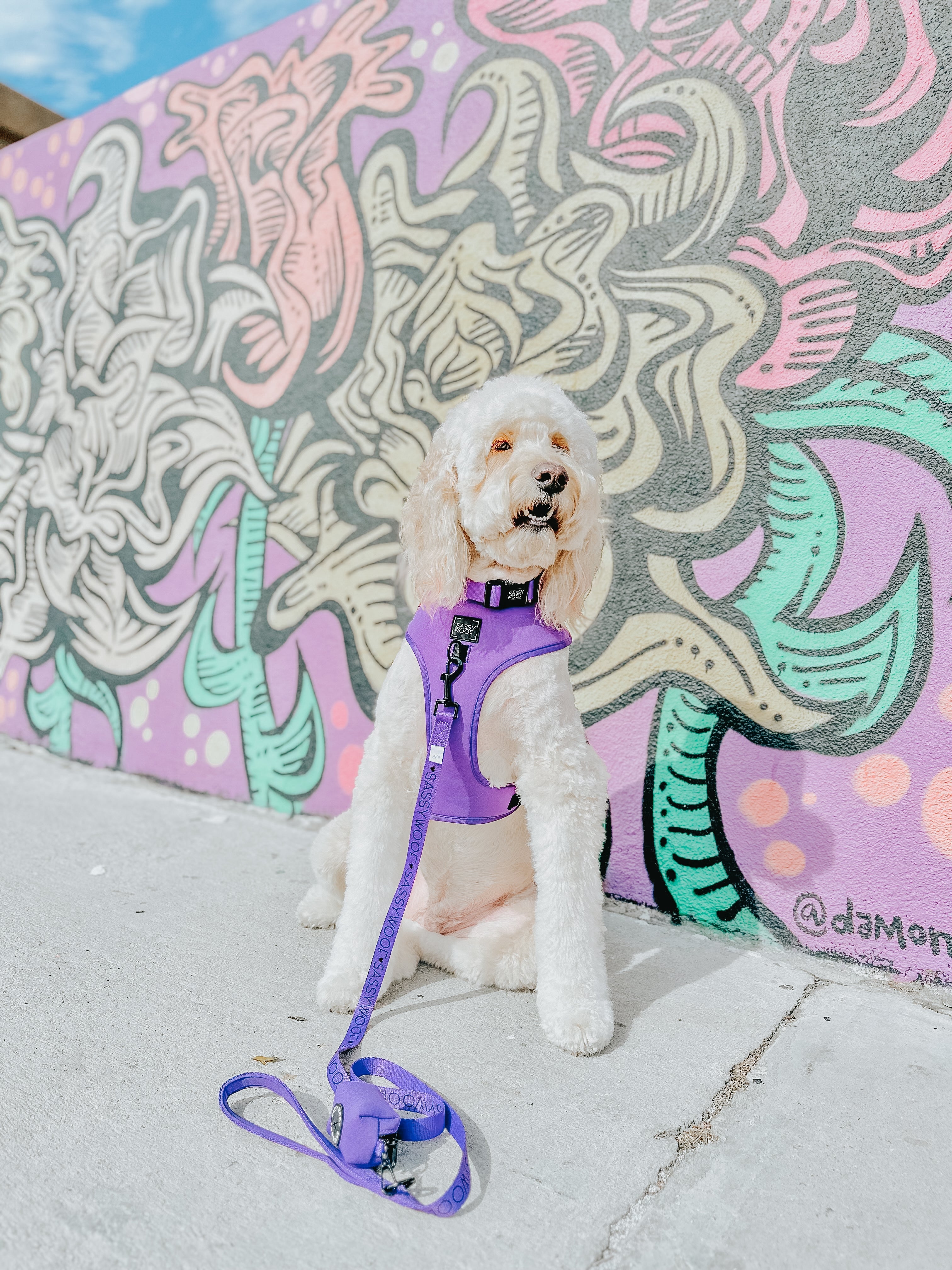 Dog Adjustable Harness - Neon Purple