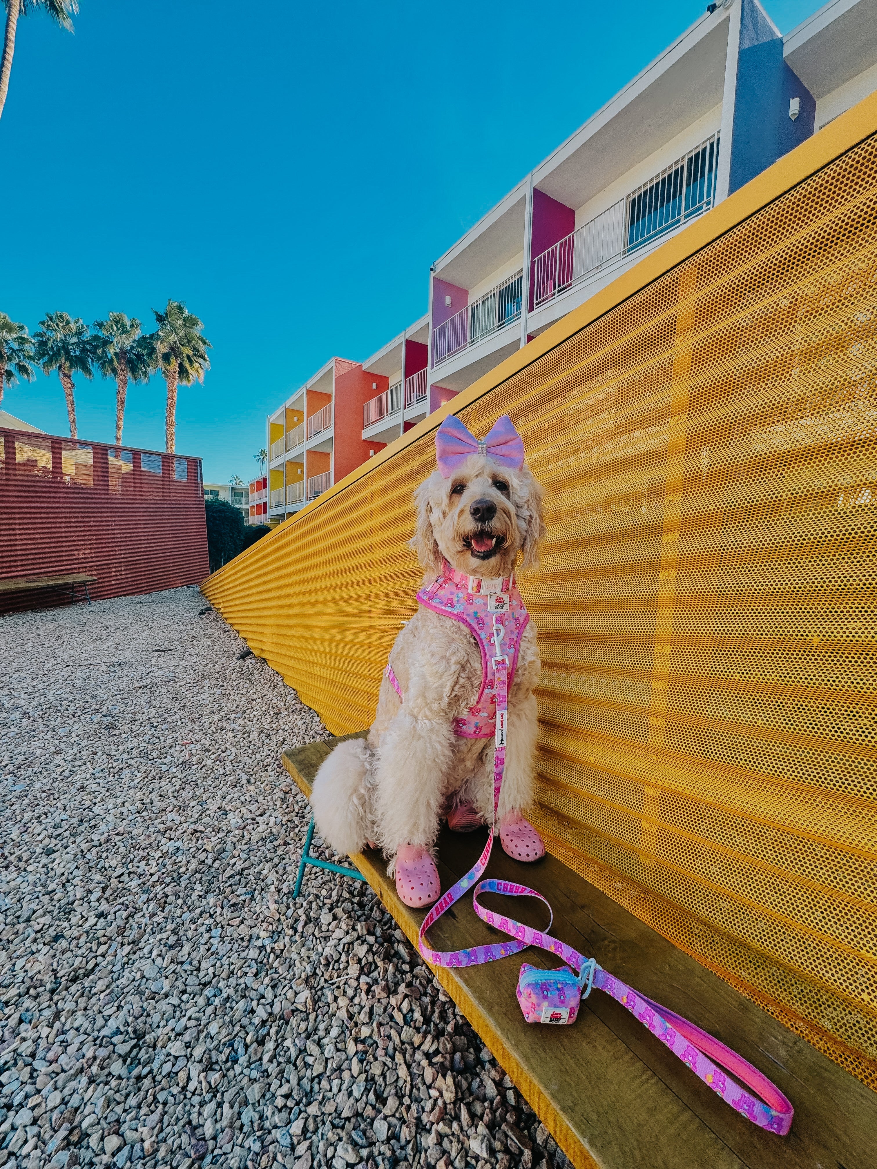 Dog Adjustable Harness - Care Bears™ Cheer Bear