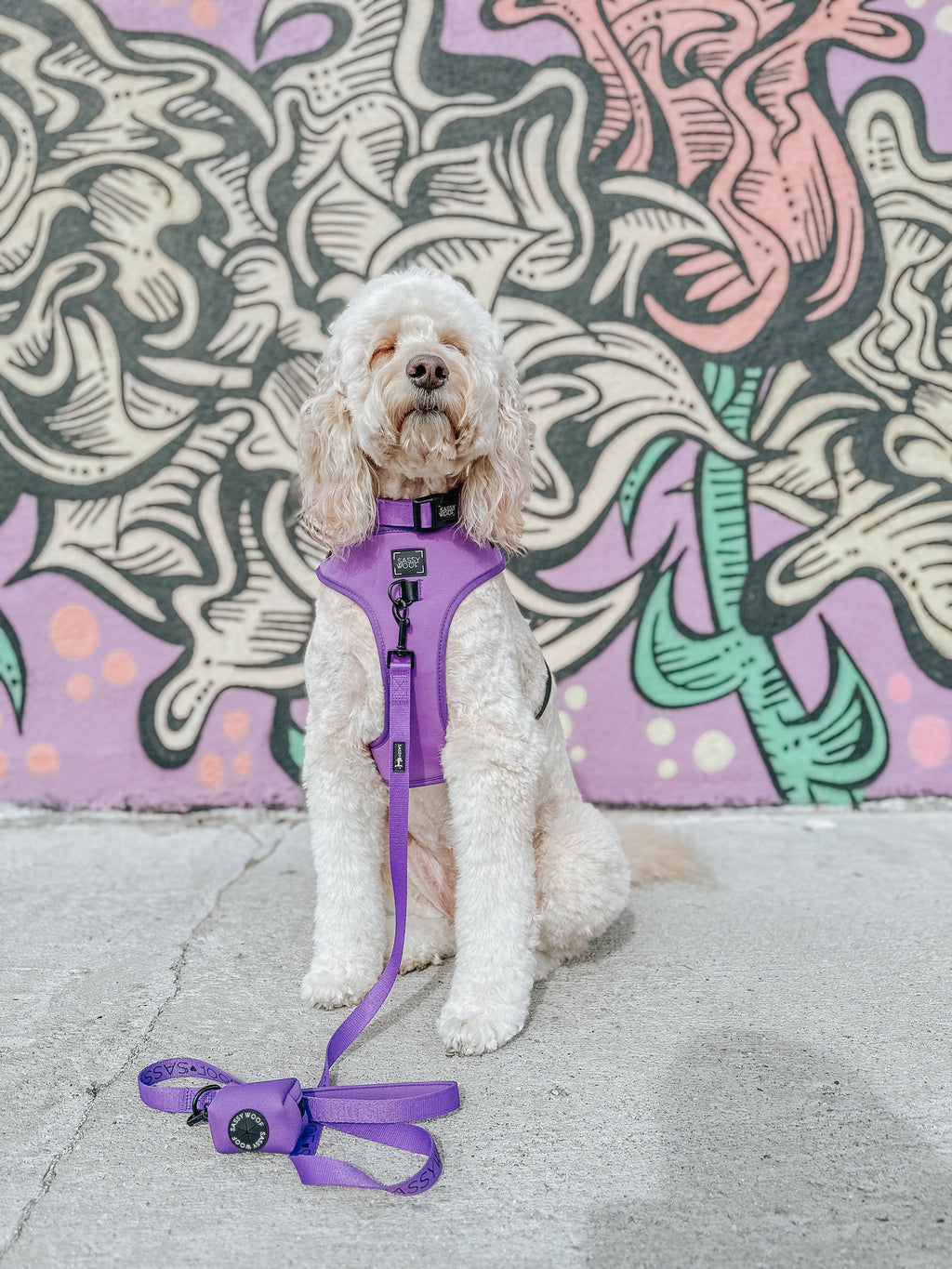 Dog Leash - Neon Purple