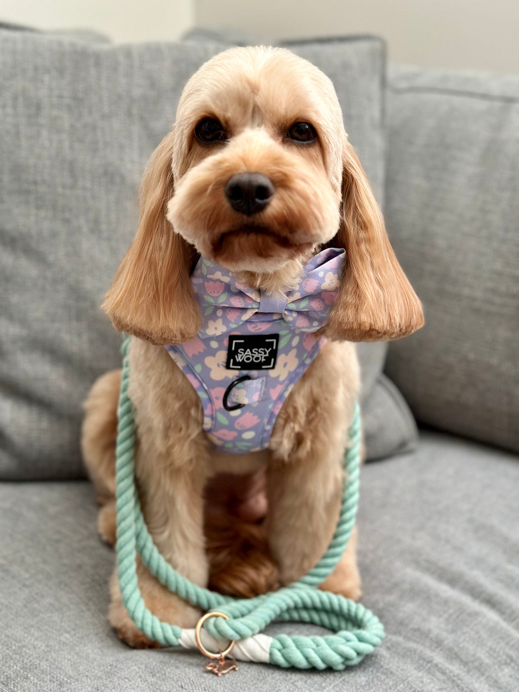 Dog Rope Leash - Mint to Be