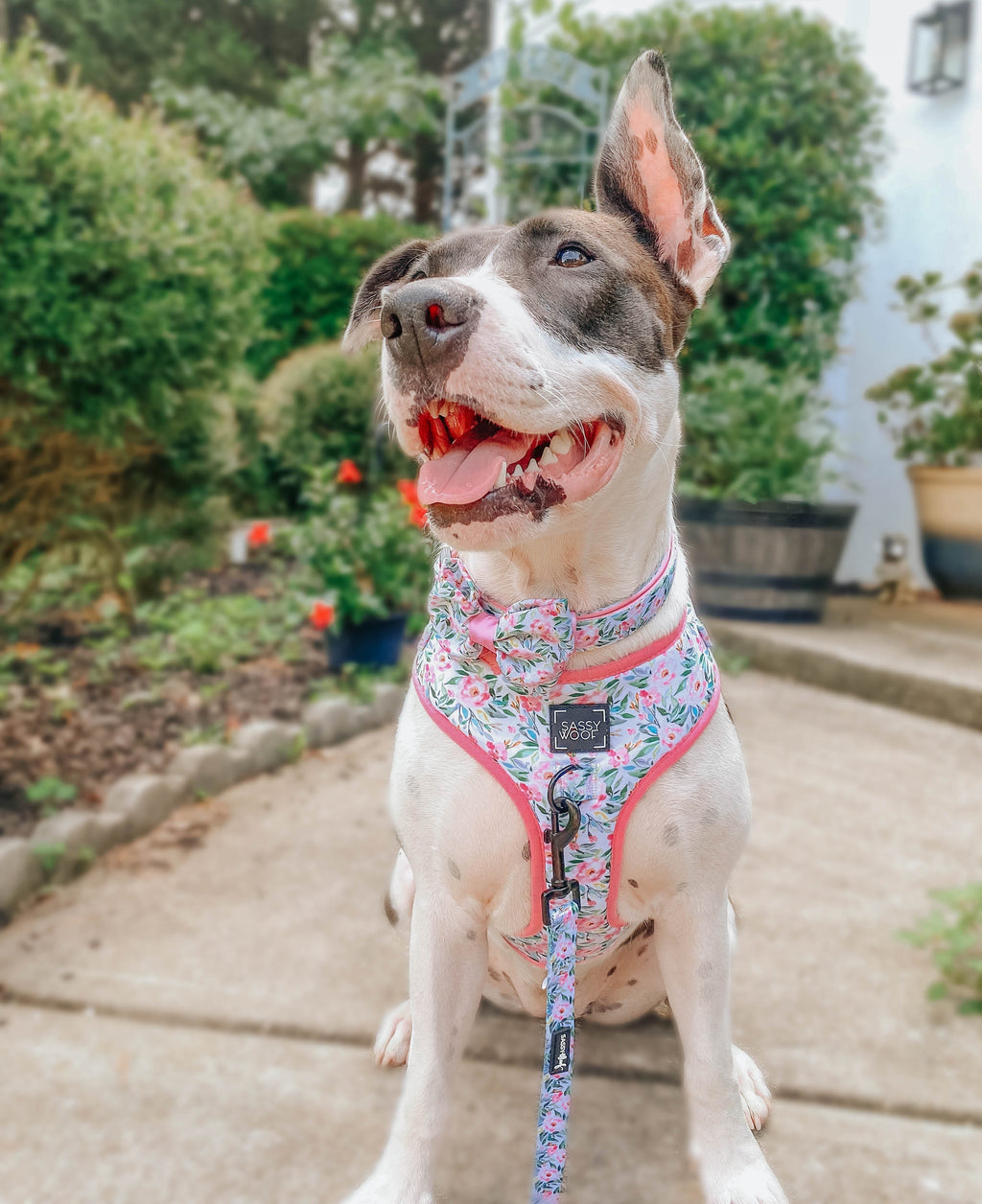Dog Adjustable Harness - Magnolia