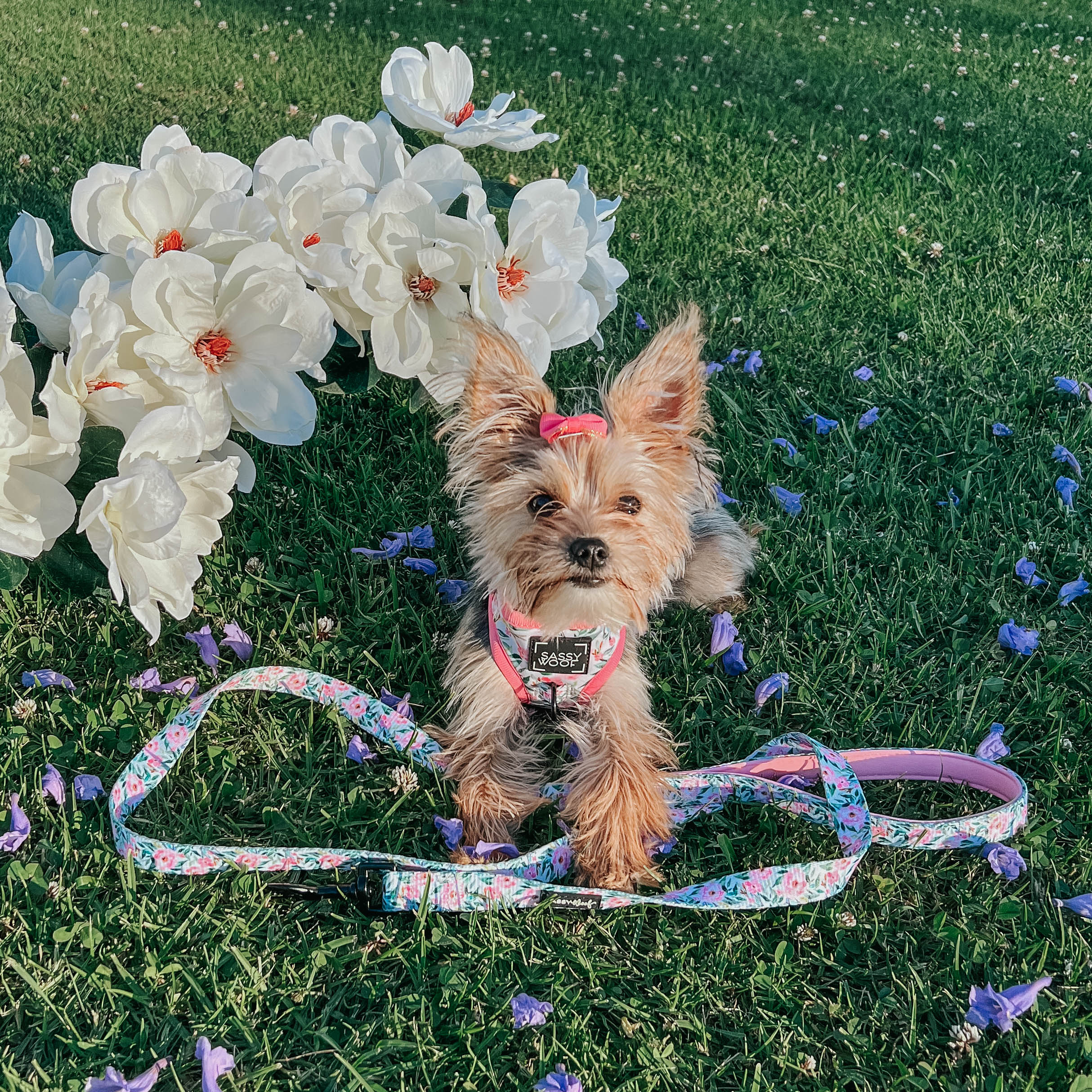 Dog Leash - Magnolia