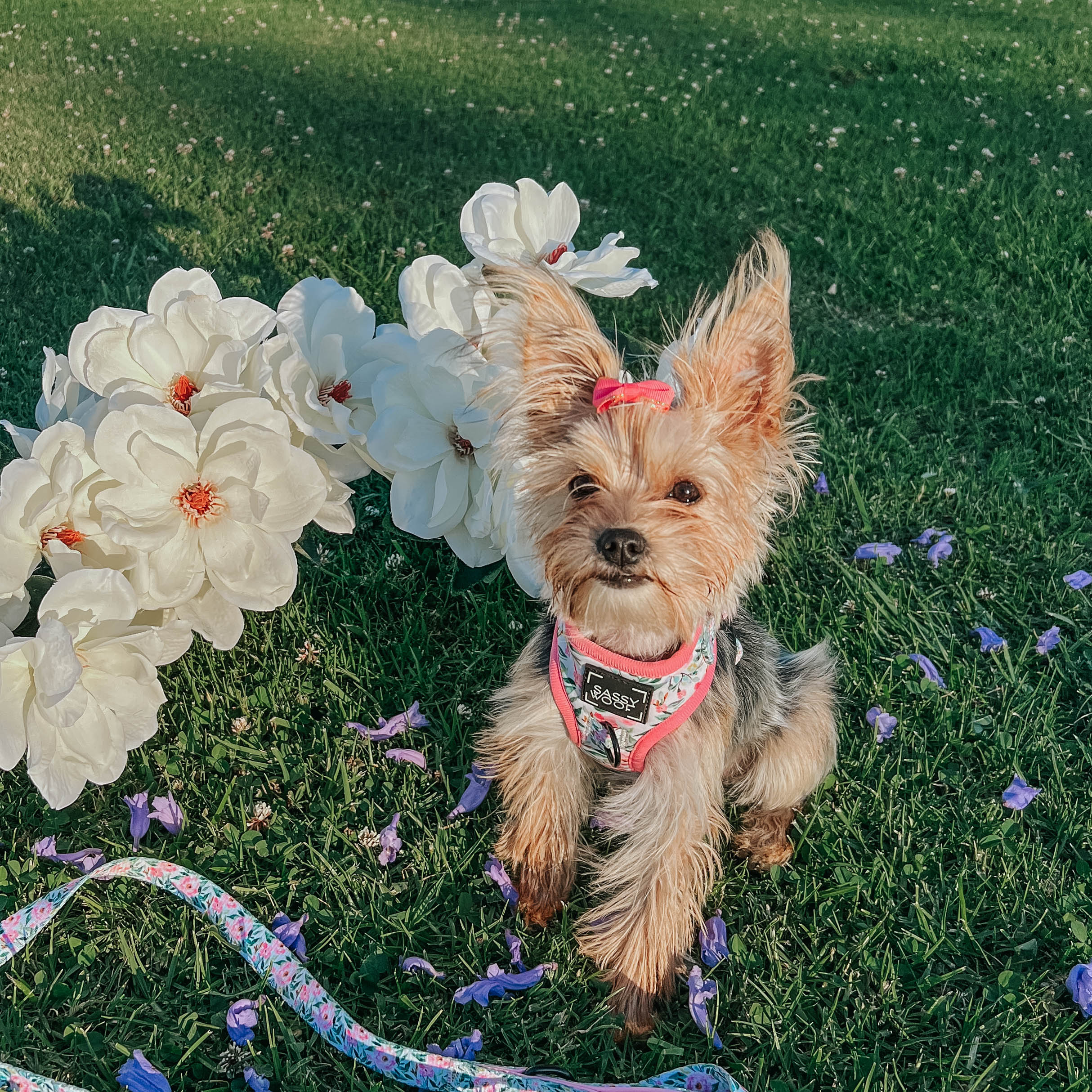 Dog Adjustable Harness - Magnolia