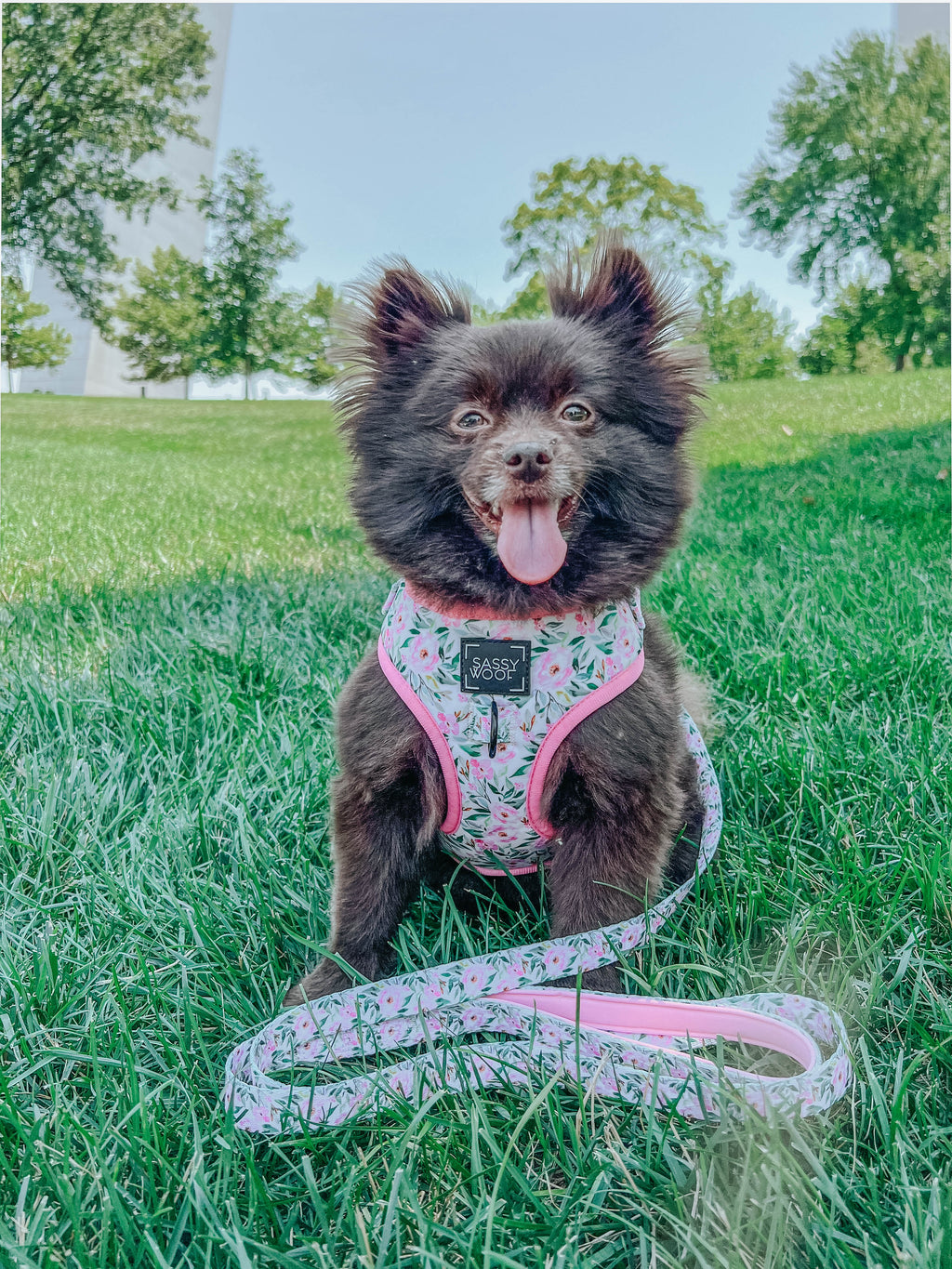 Dog Adjustable Harness - Magnolia