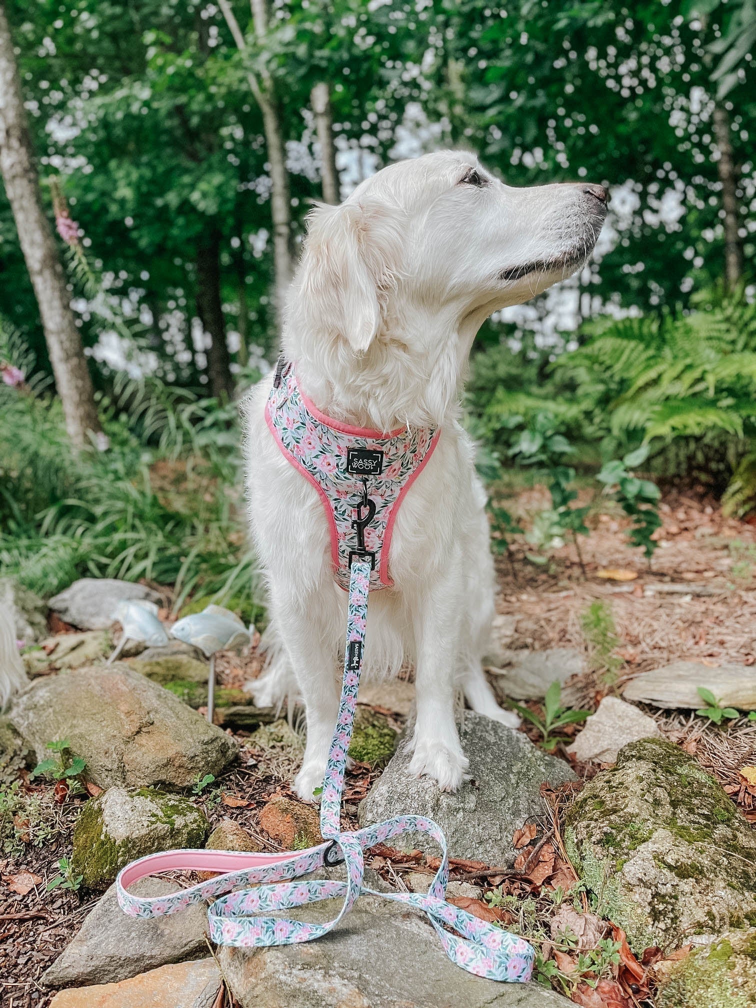 Dog Adjustable Harness - Magnolia