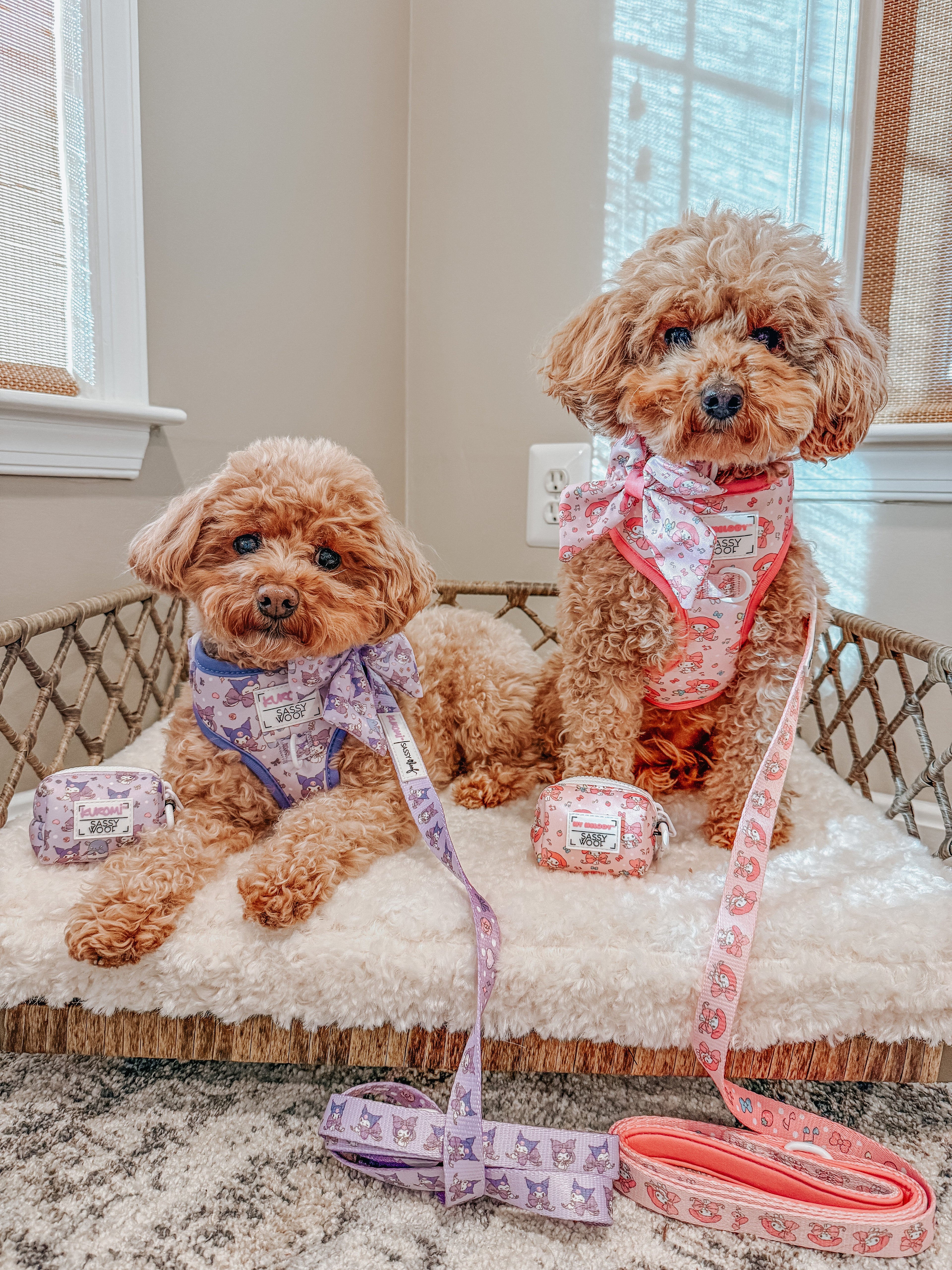 Dog Leash - My Melody™