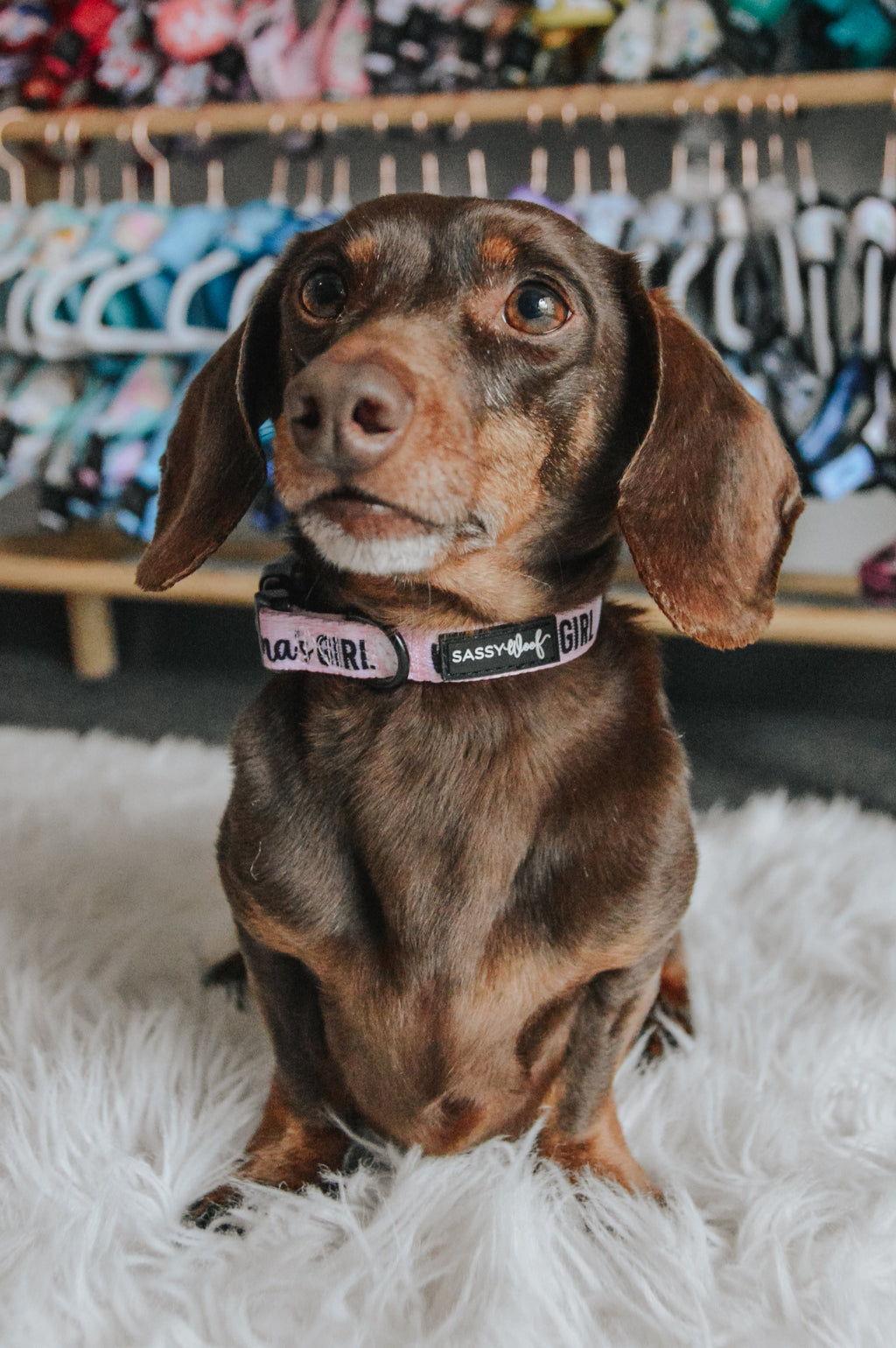 Dog Collar - Mama's Girl