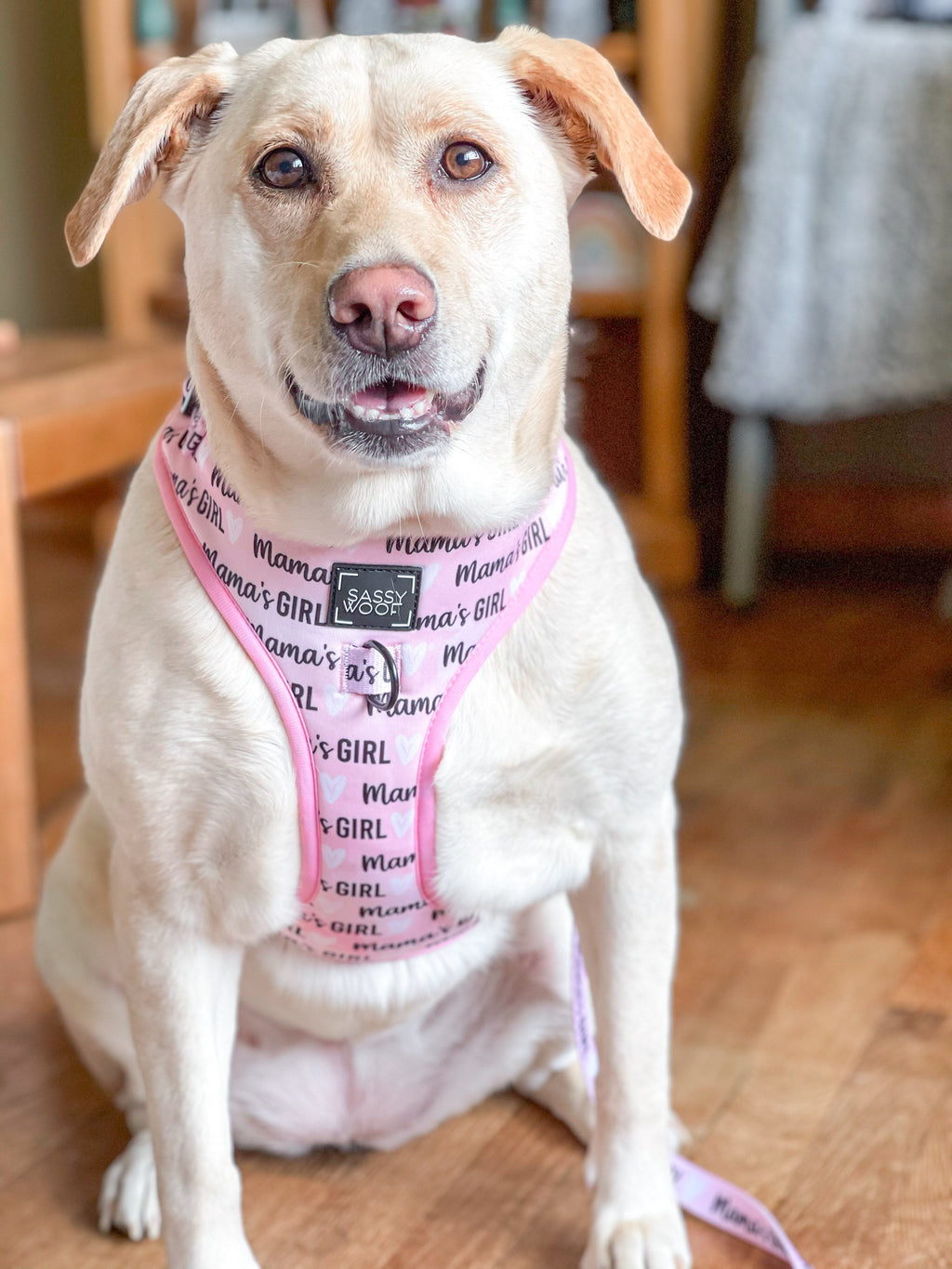 Dog Adjustable Harness - Mama's Girl