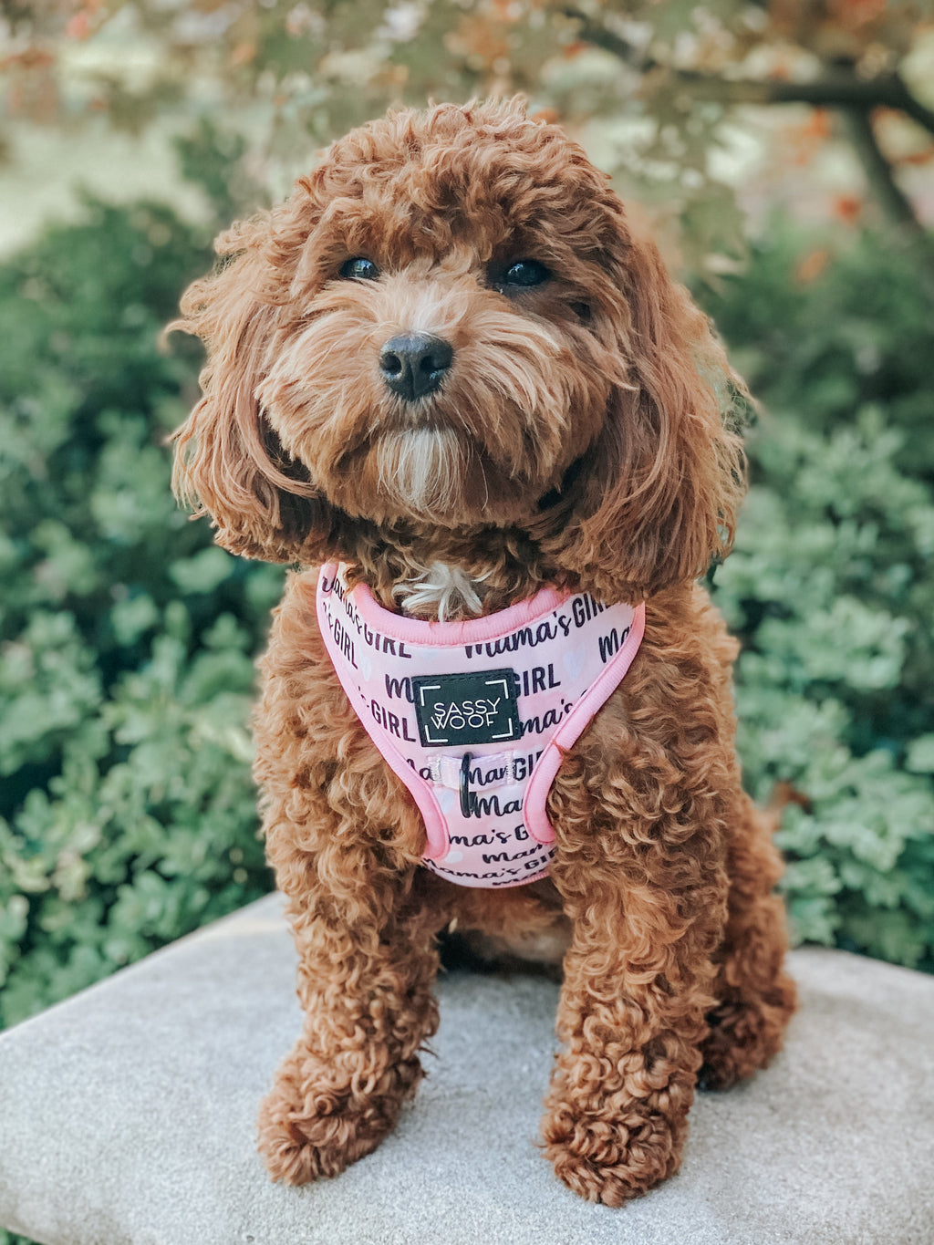 Dog Adjustable Harness - Mama's Girl